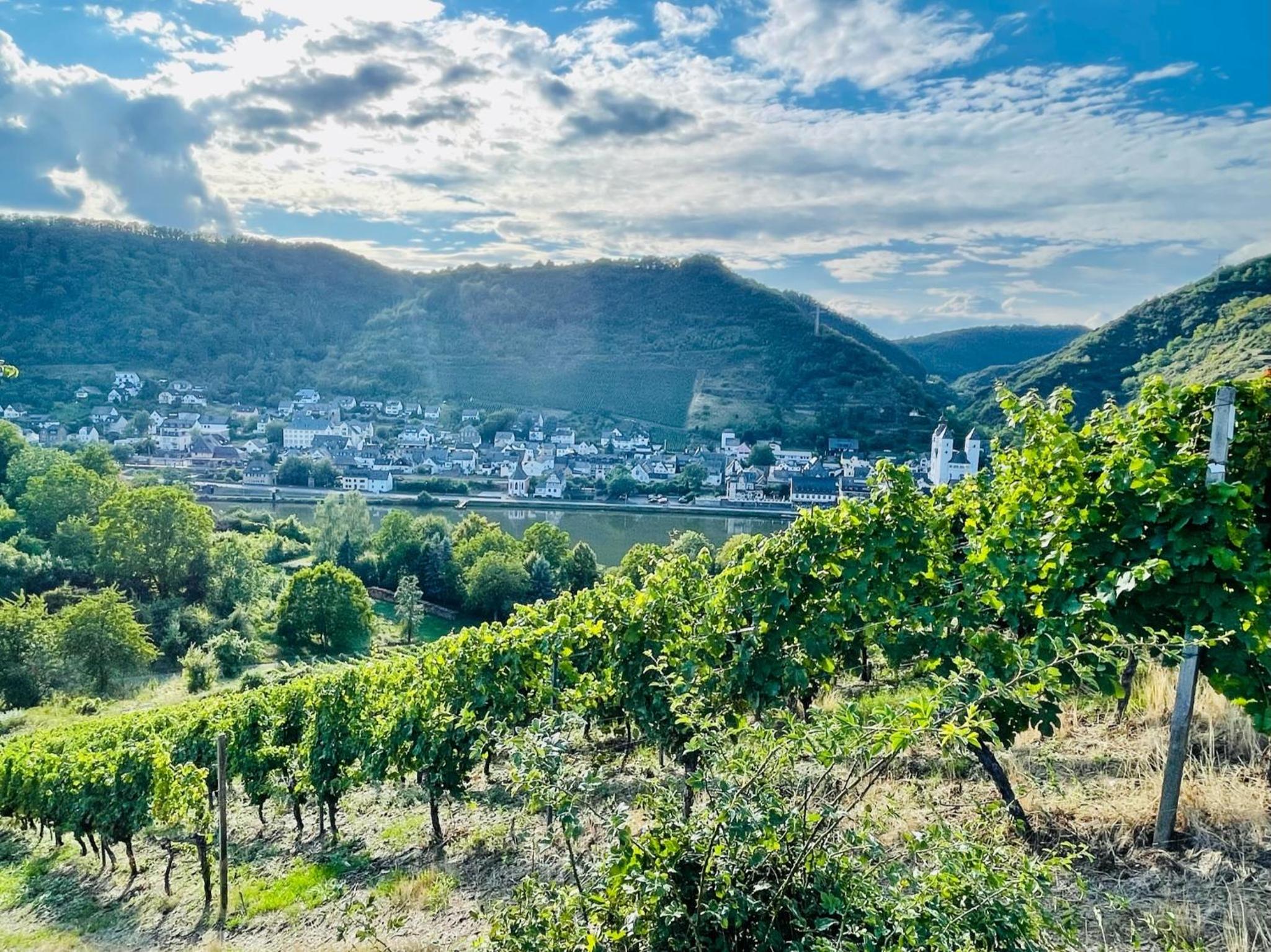 FeWo Mosel - Comfort & Relax