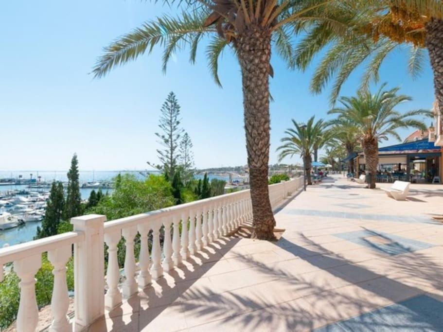 Torrebeach