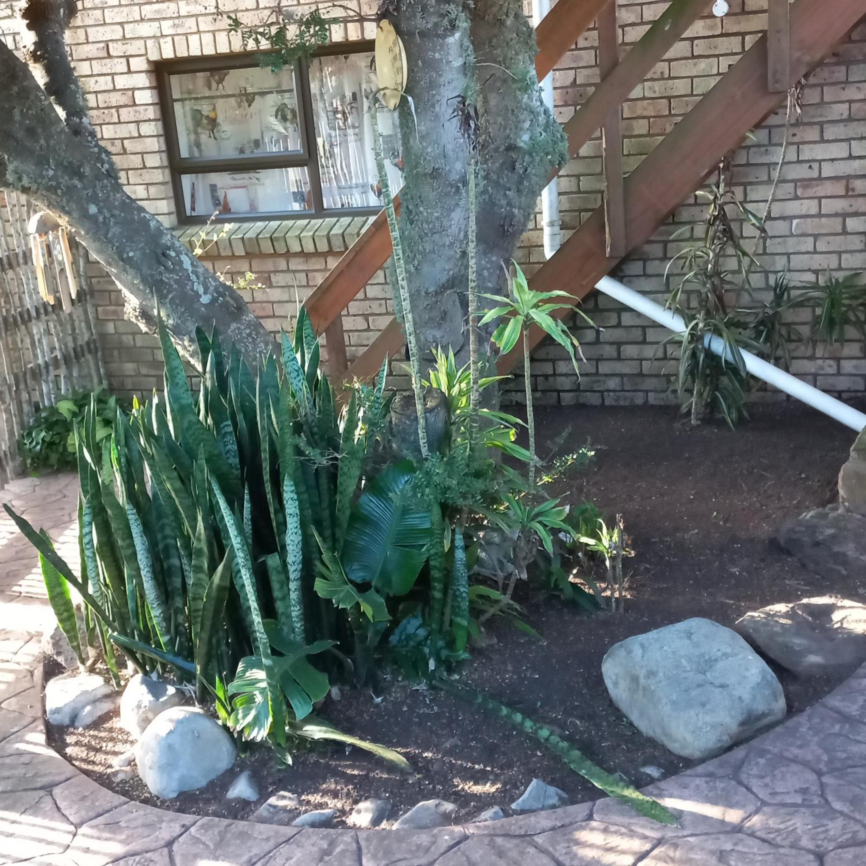 Loeries Nest view 4