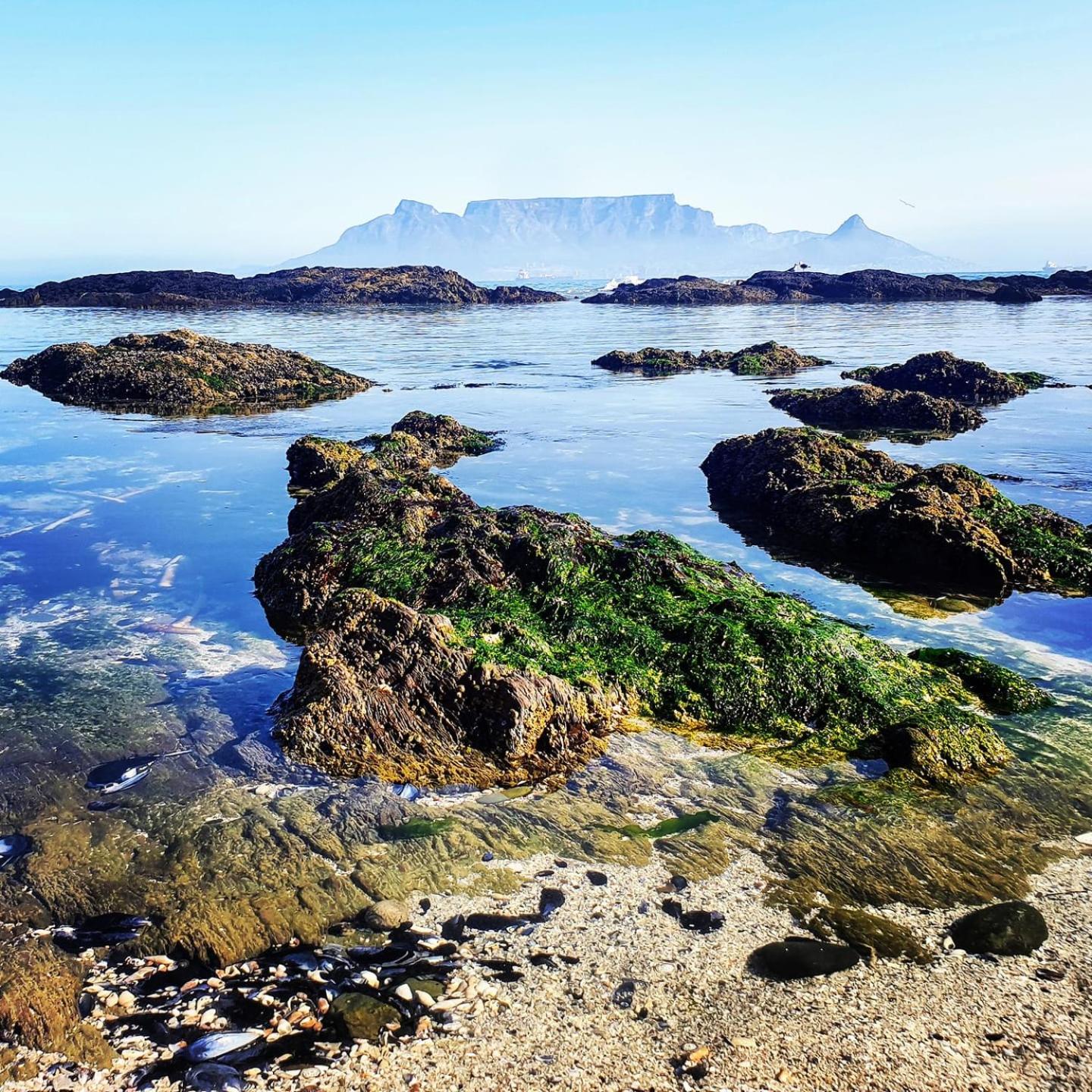 Bella Casa 179 - Atlantic Ocean & Robben Island View - Big Bay Beach Club Apartment