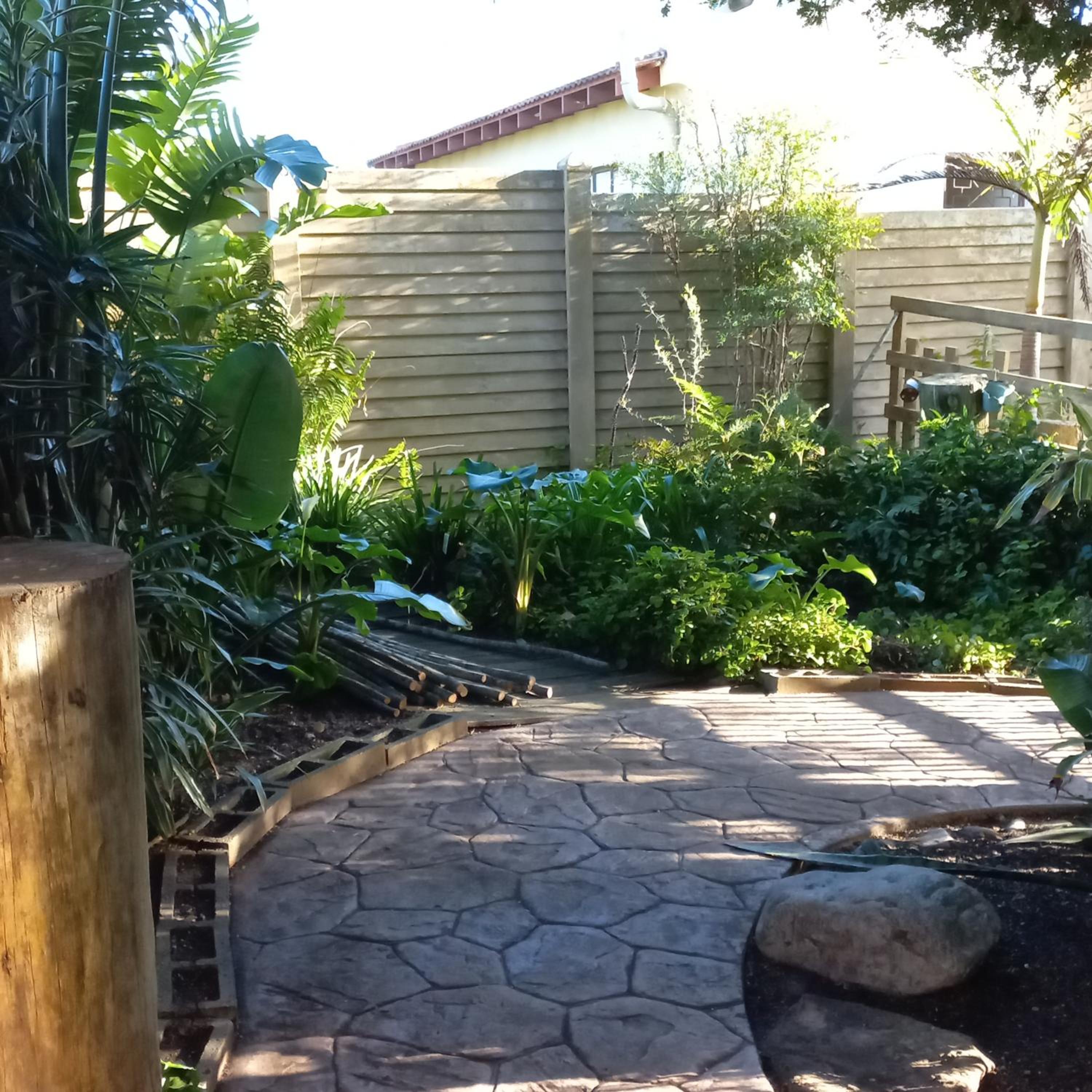 Loeries Nest view 2