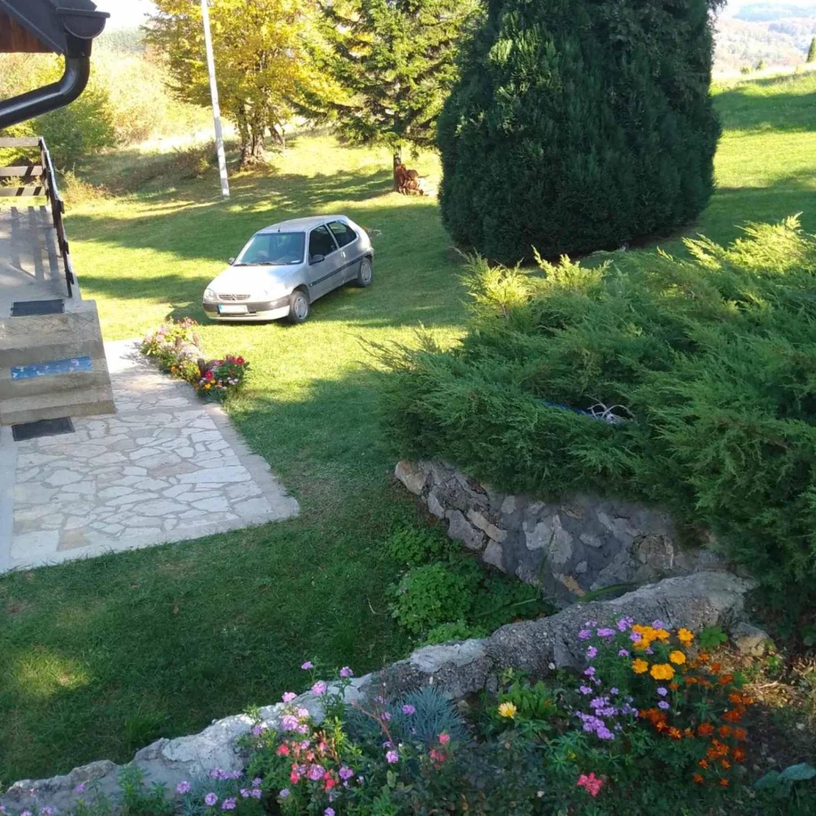 Photo 23