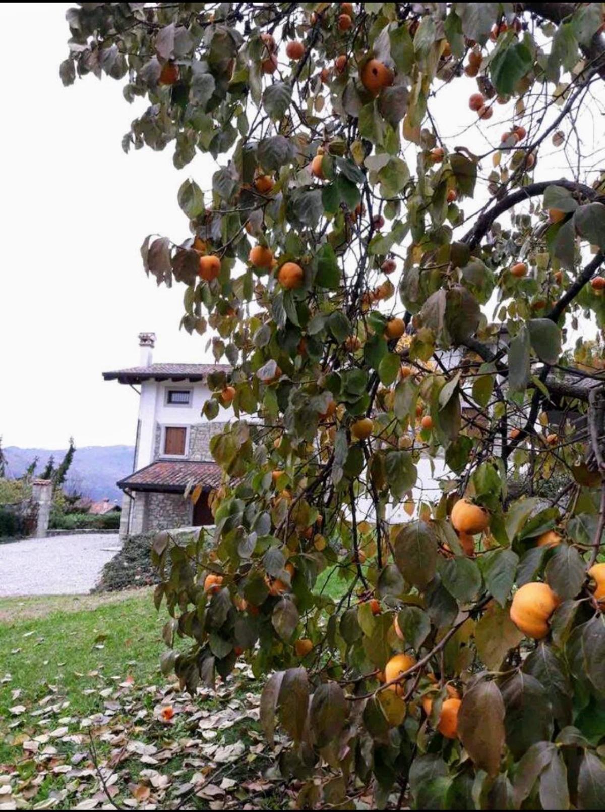 Casa della Meridiana