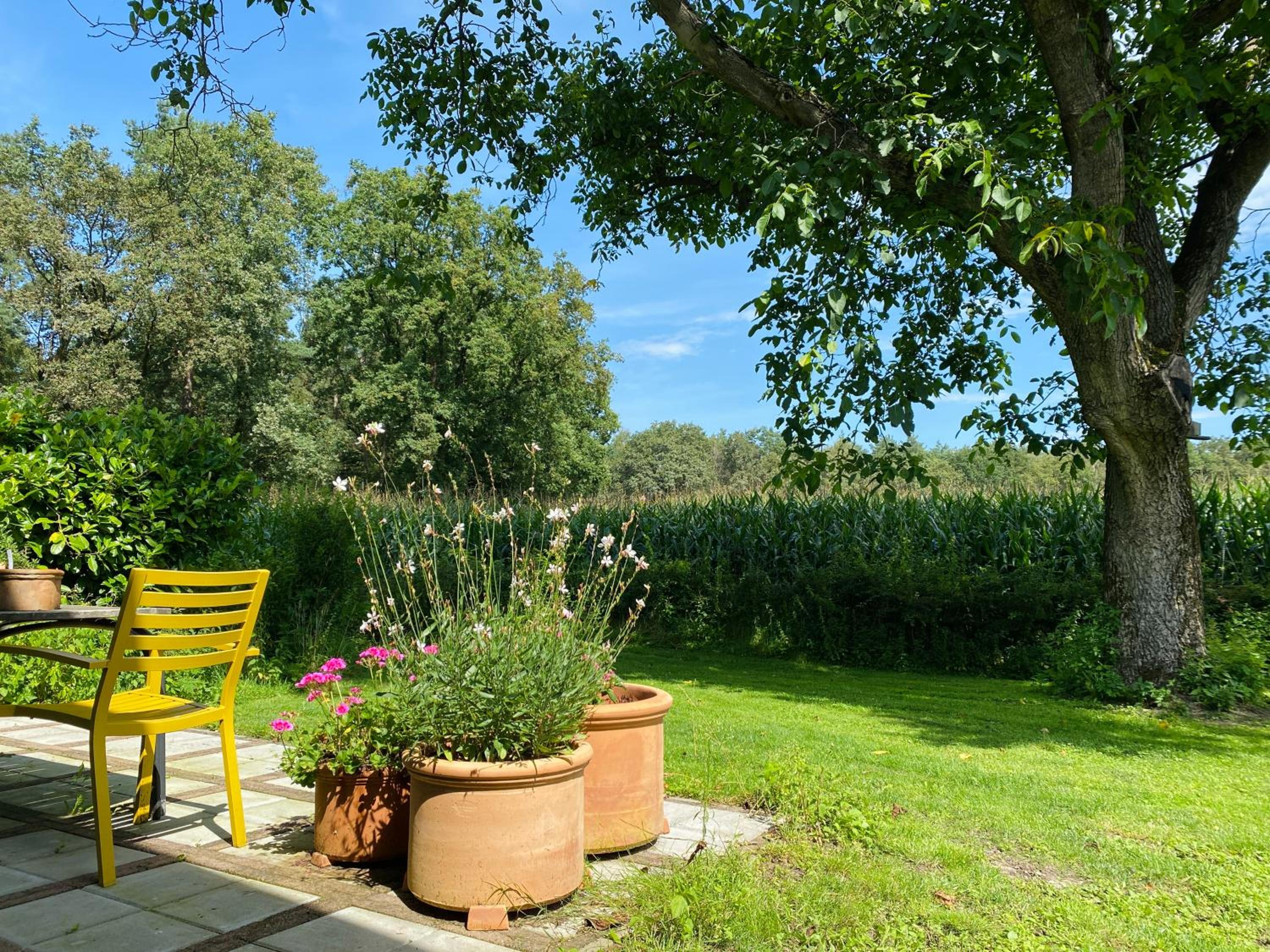 Gastenverblijf in rustige groene omgeving - Kievit Leuvenheim view 2