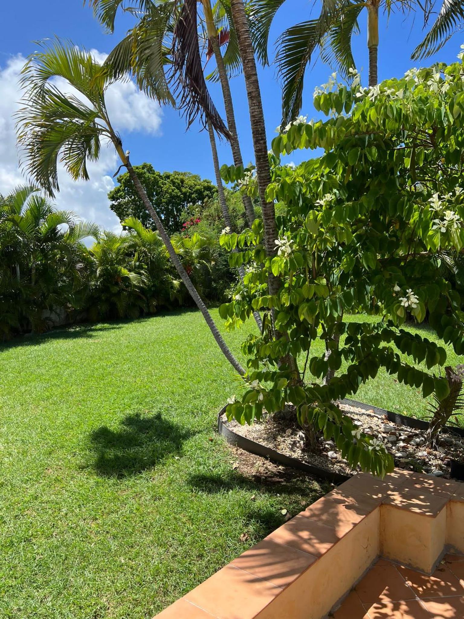 VILLA BUTTERFLY