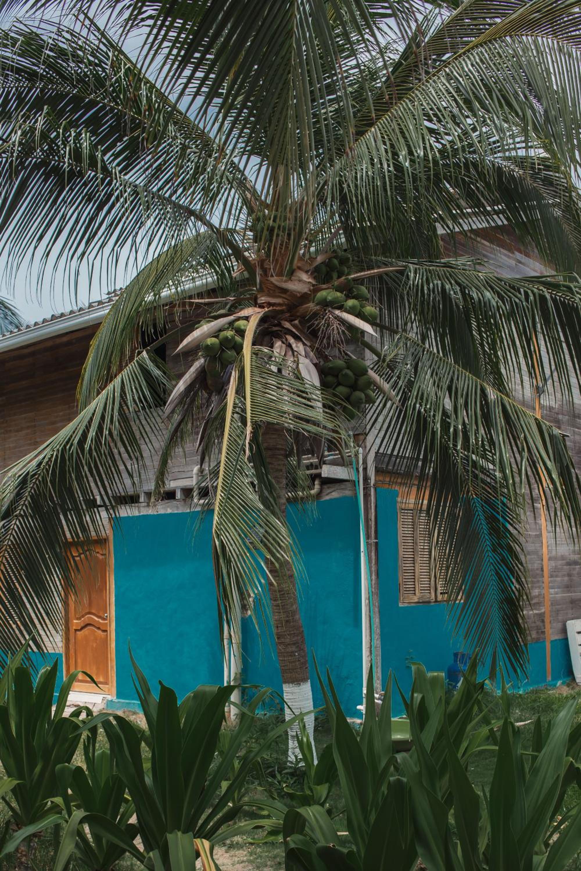 Isla Grande Eco-Hostal