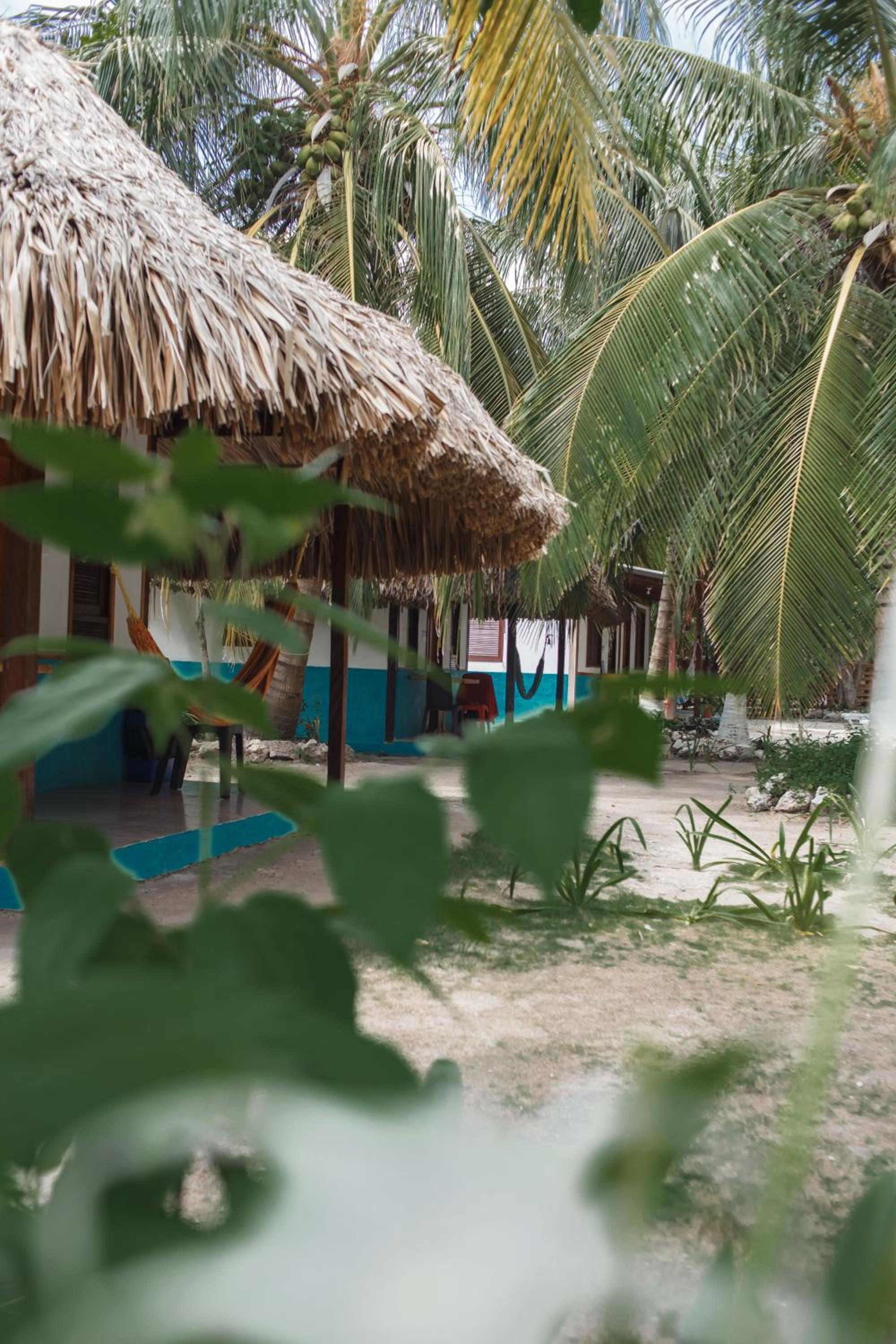 Isla Grande Eco-Hostal