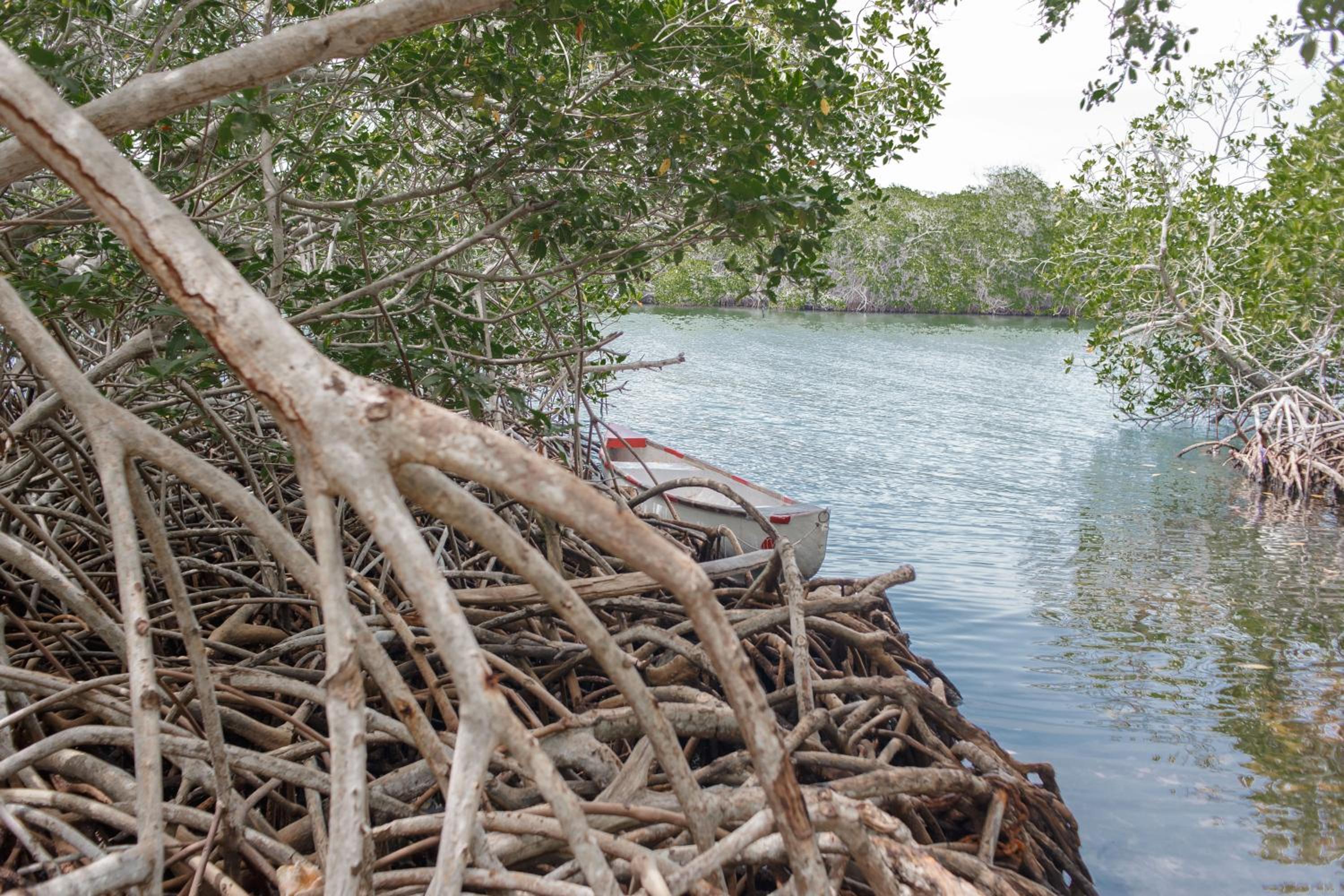 Isla Grande Eco-Hostal