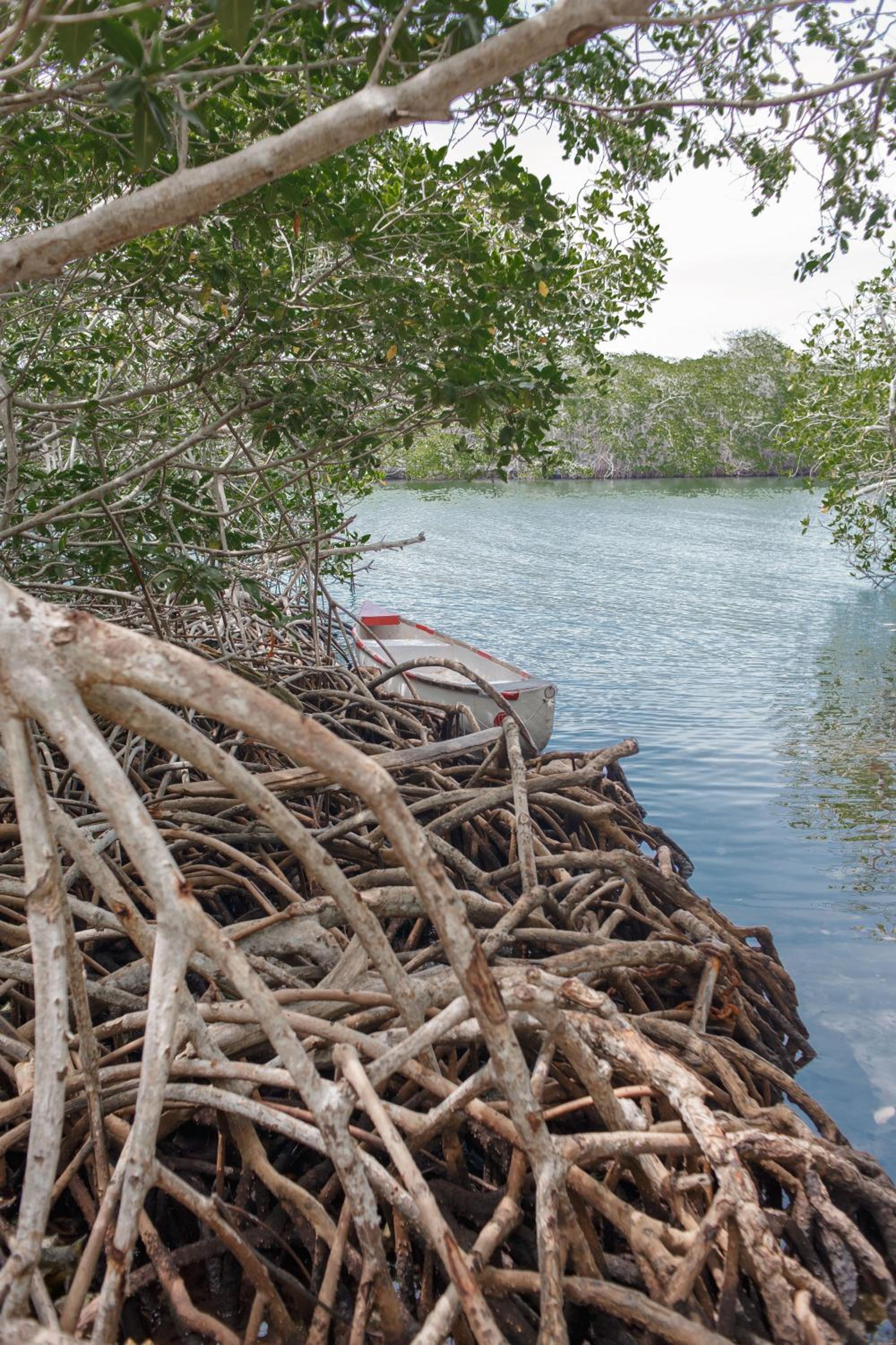 Isla Grande Eco-Hostal