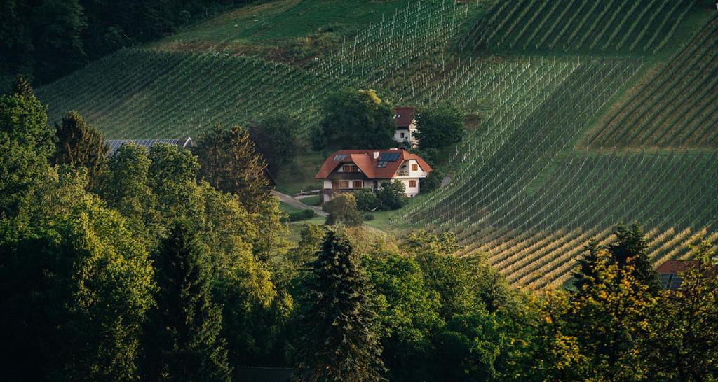 Apartment direkt am Weingut Garber