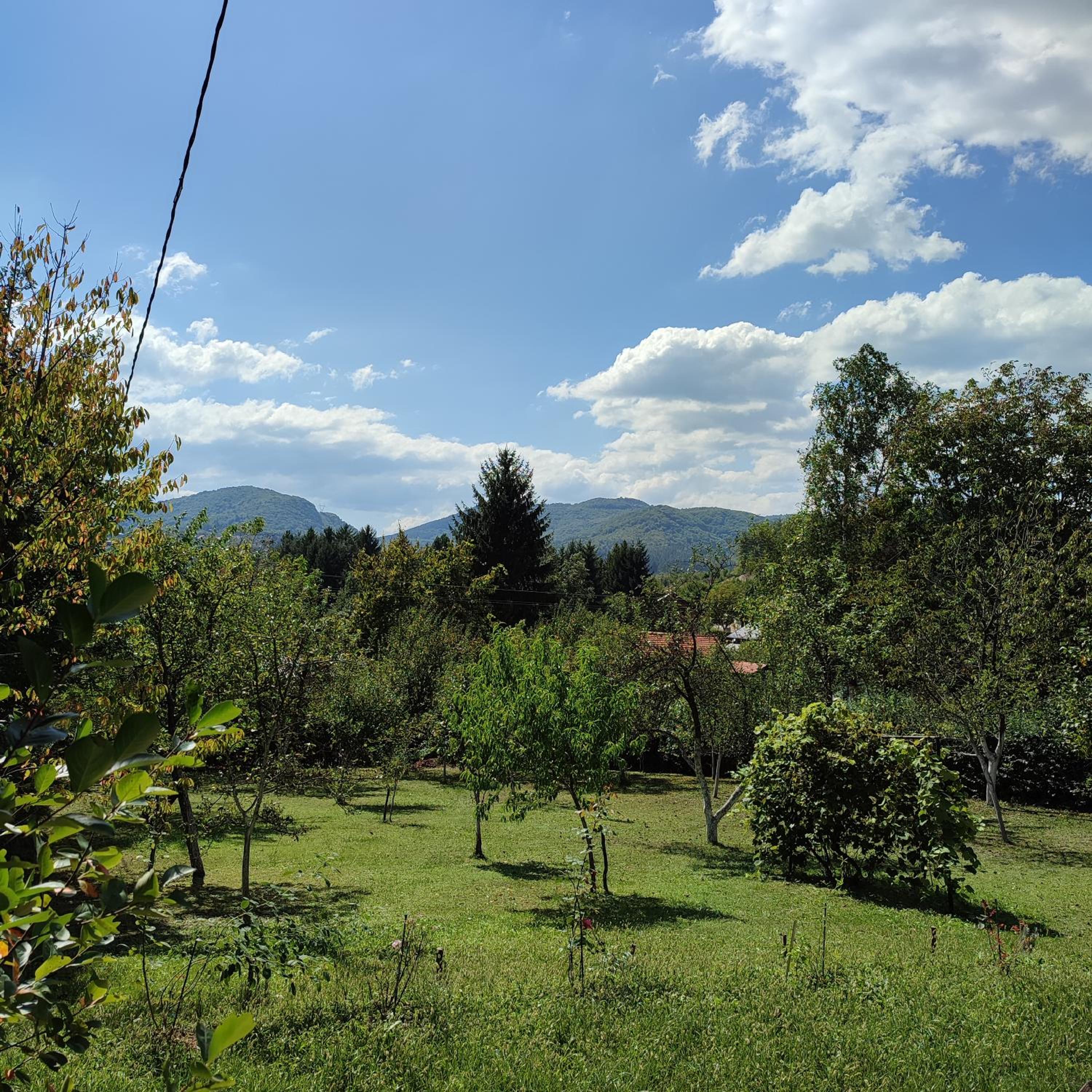 Bella House
