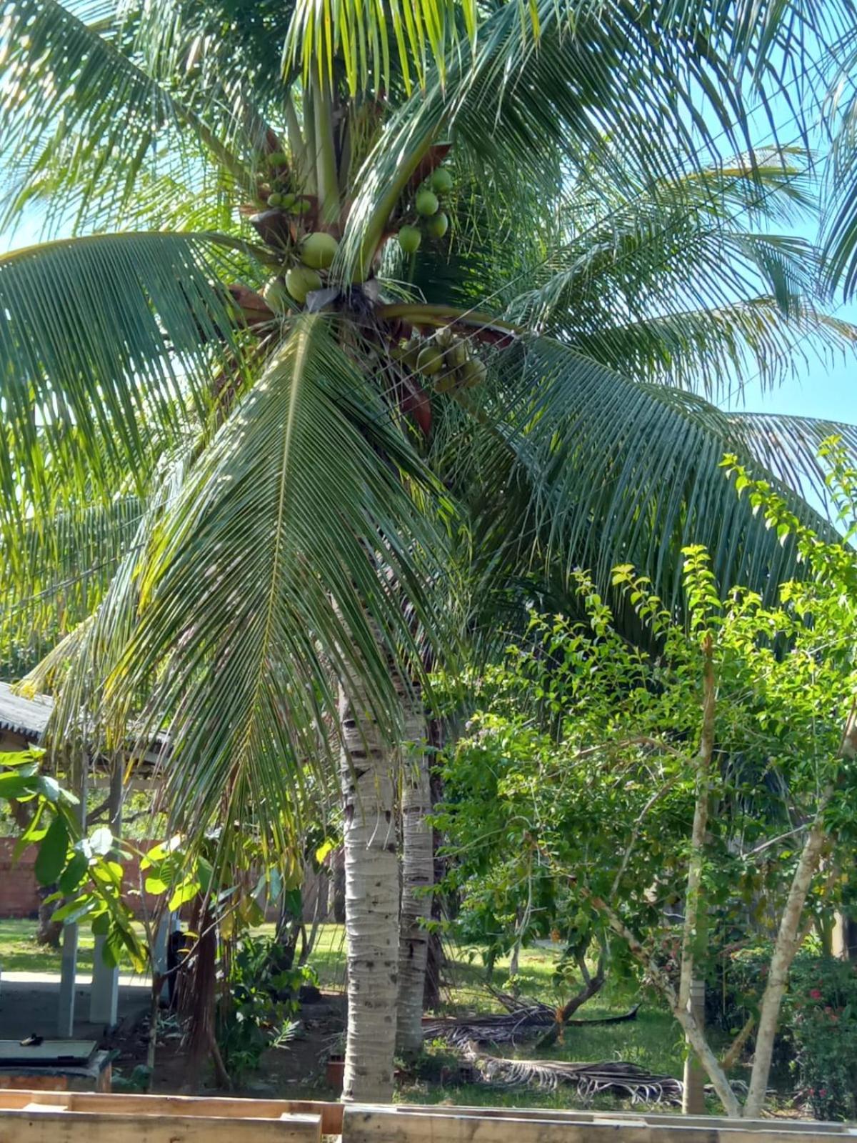 ParadiseKamp Açutuba