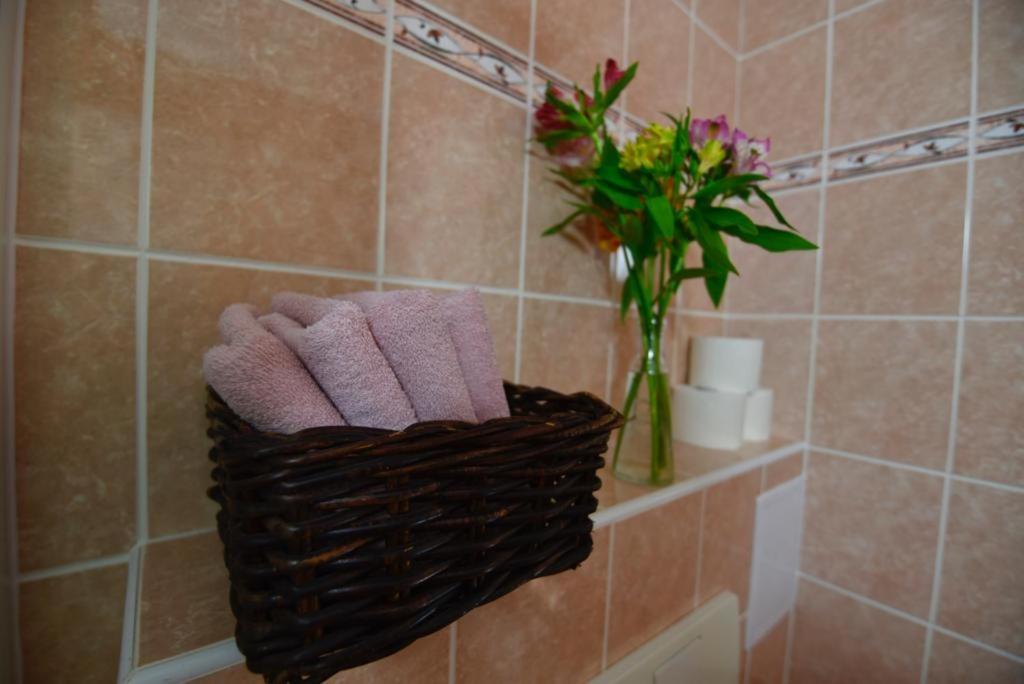 Apartmány Braníčkov view 4