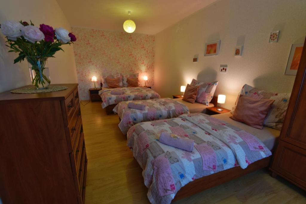 Apartmány Braníčkov view 5