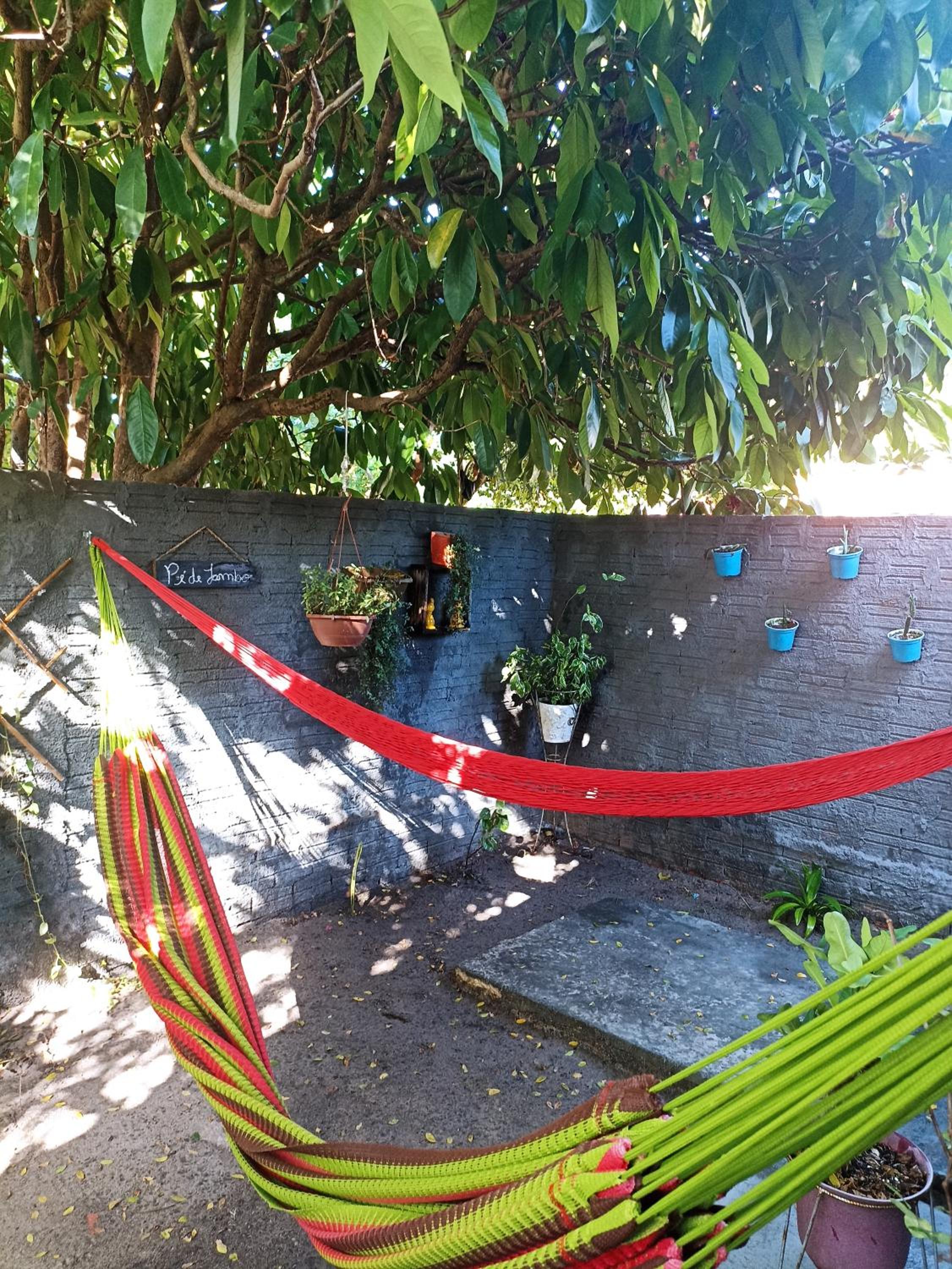 Amorada