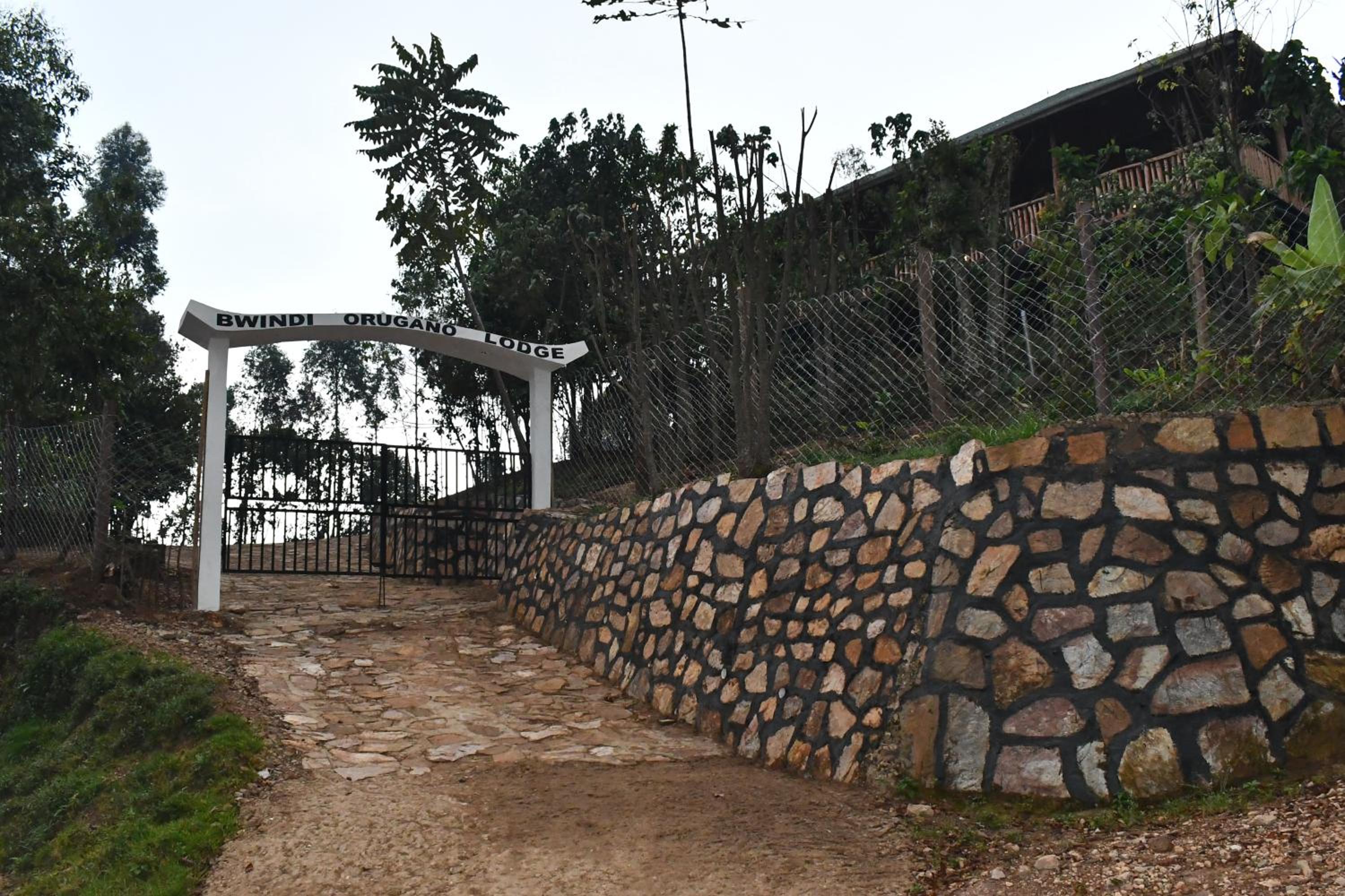 Orugano Bwindi Lodge