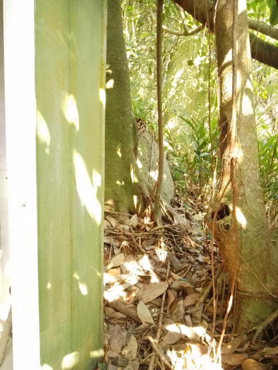 Enseada Das Pedras