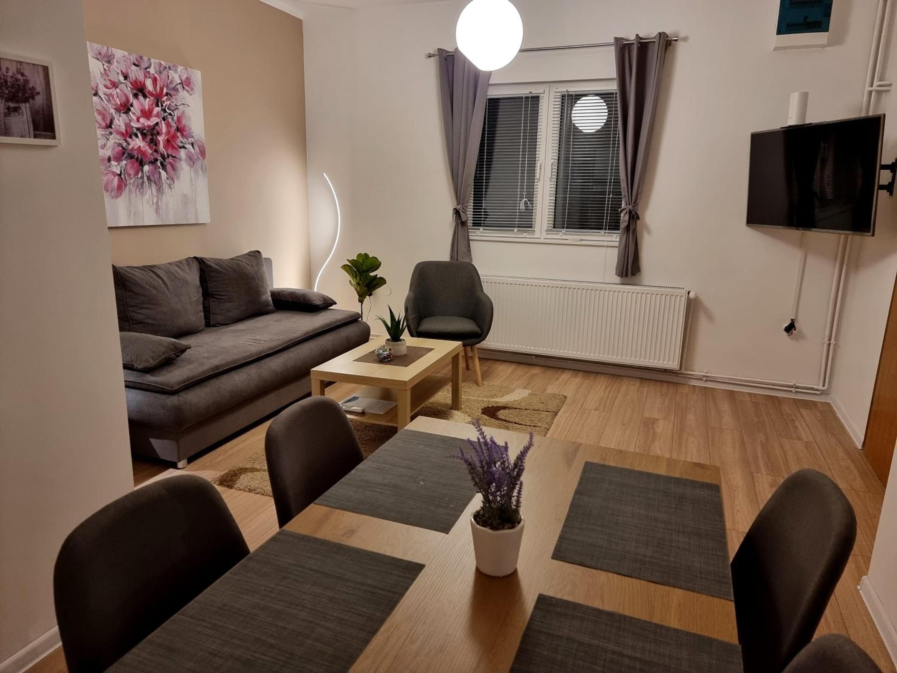 Apartman - sobe Corina-blizu Osijeka view 4