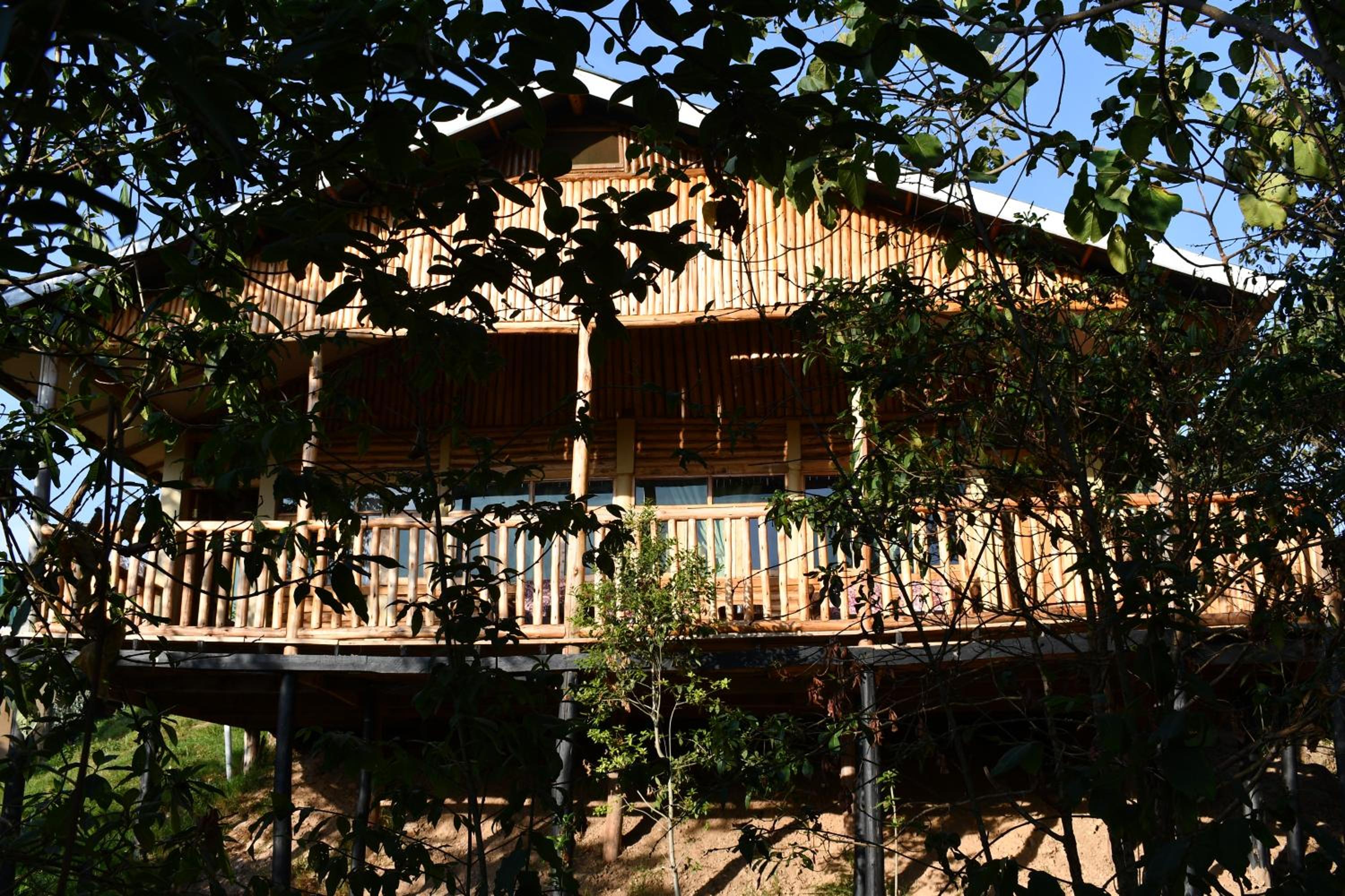Orugano Bwindi Lodge