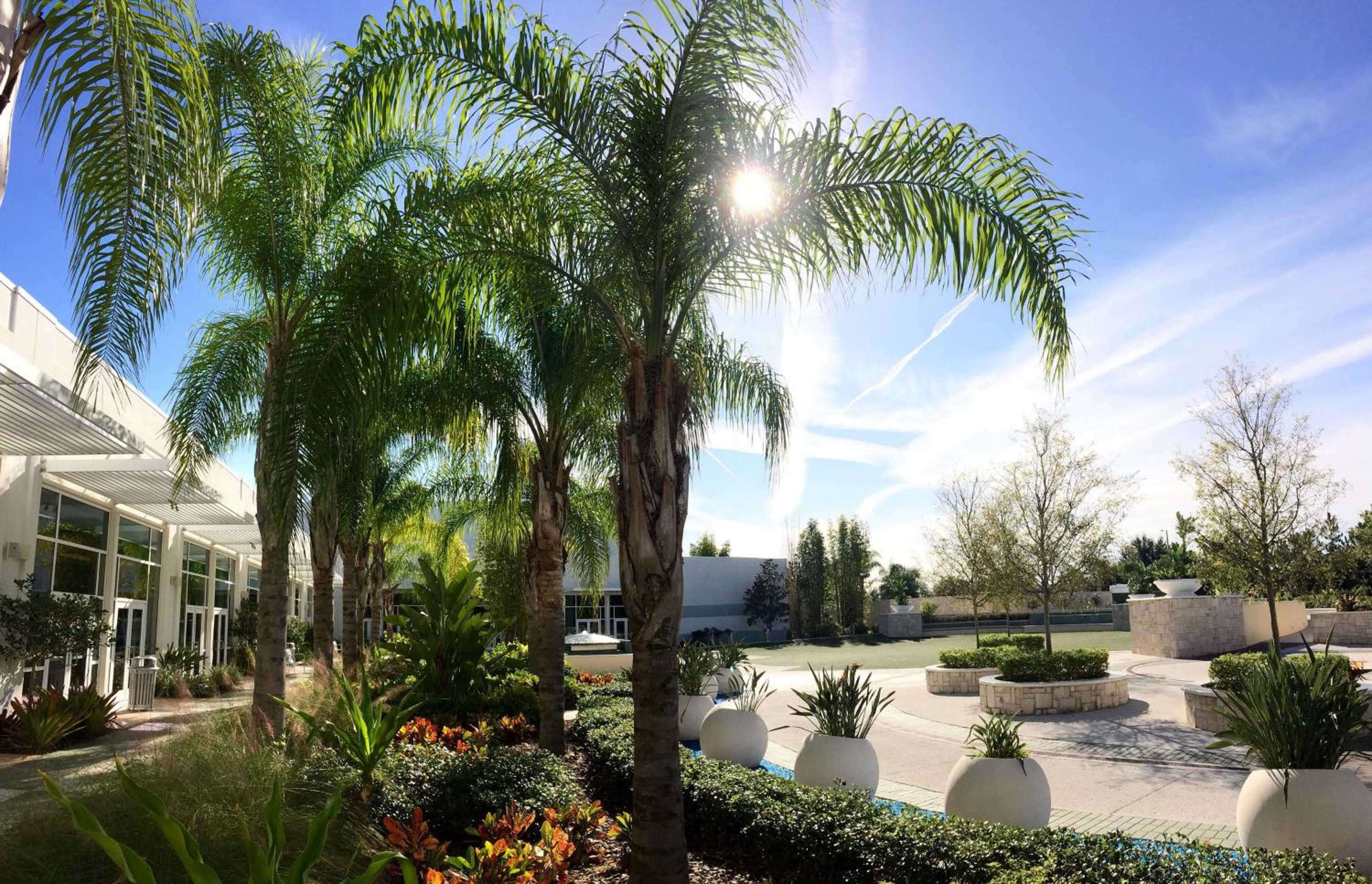 Hilton Orlando