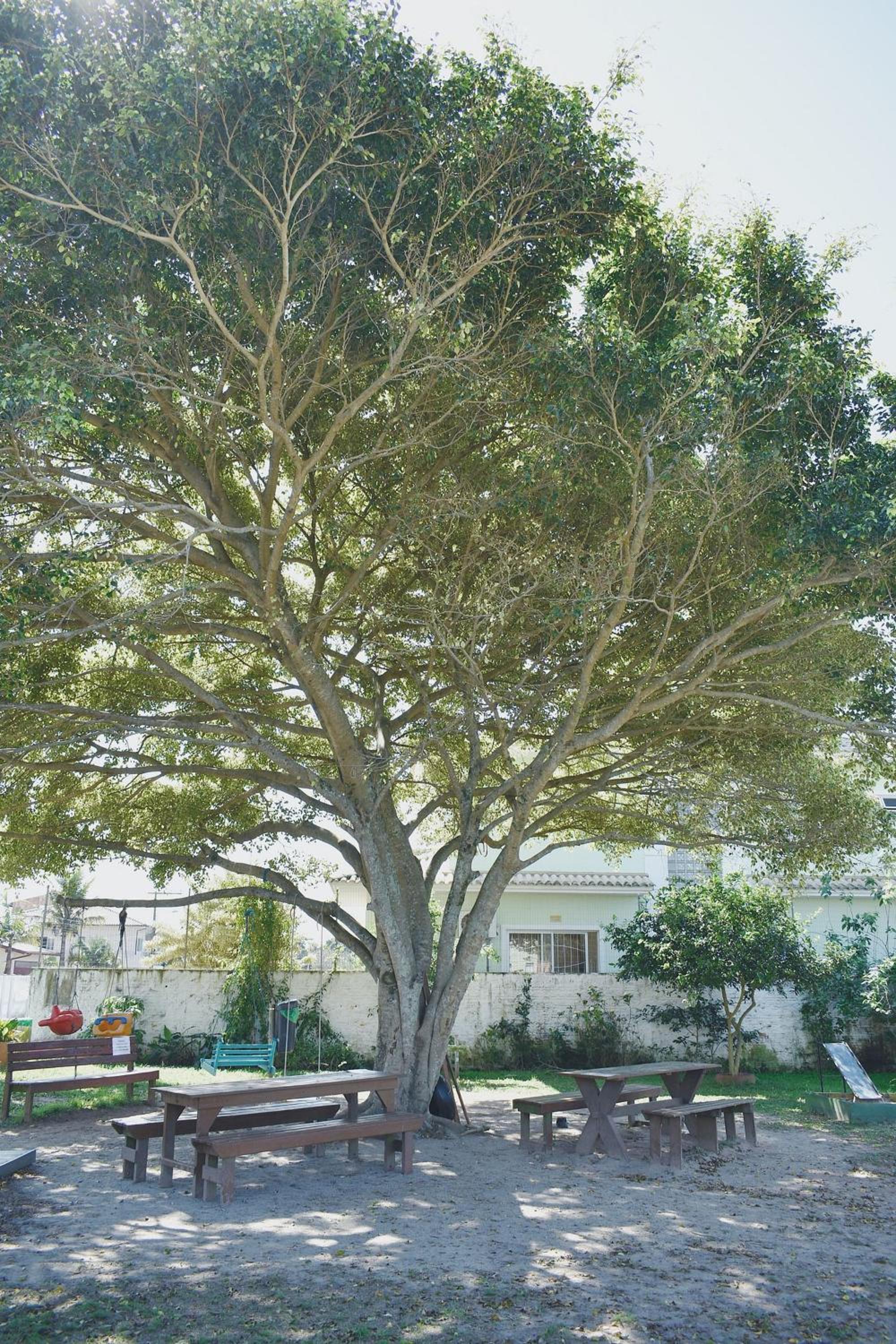 Recanto Revoar - Campeche - Florianópolis