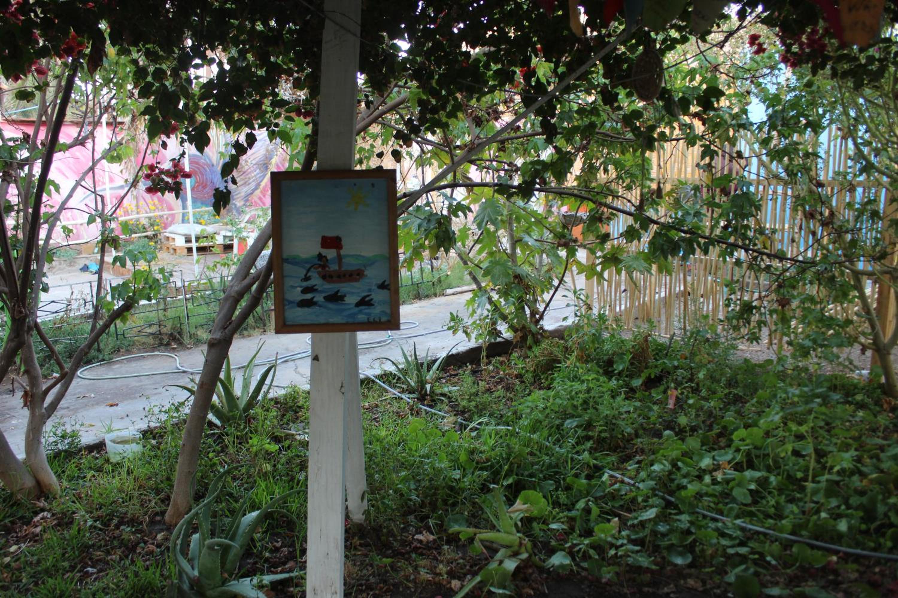Photo 43