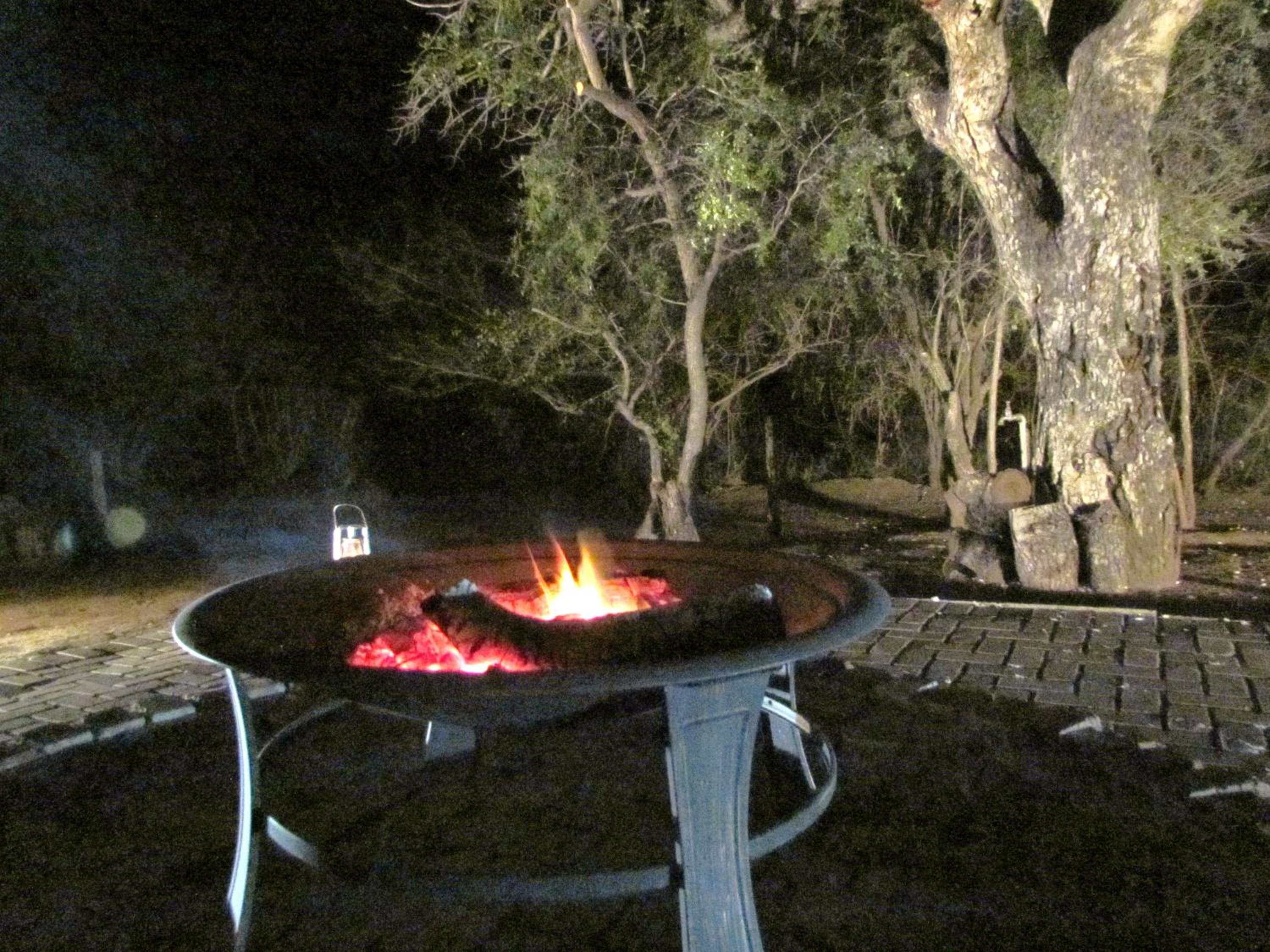 Photo 45