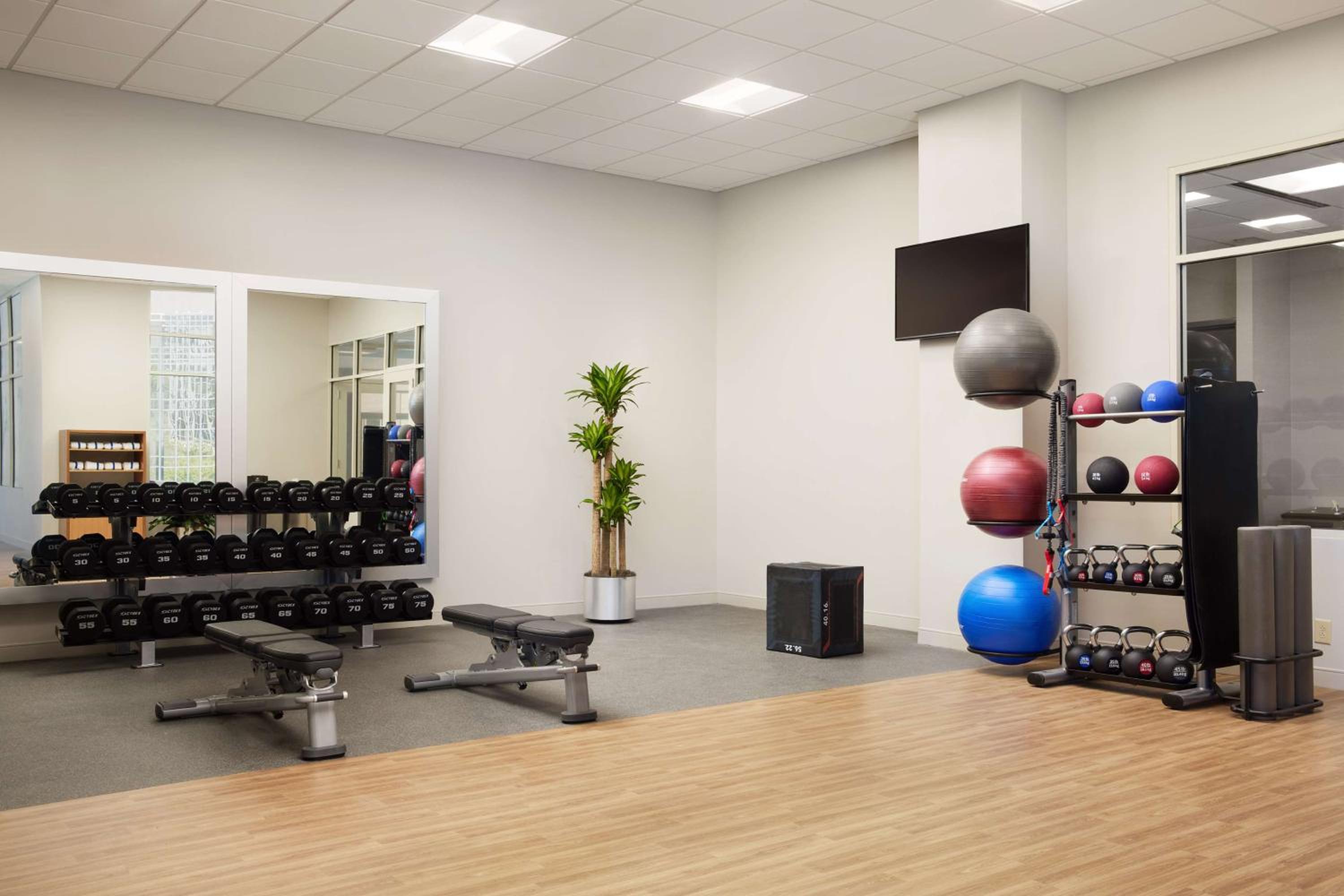 Hilton Charlotte Airport Hotel, 사진 26
