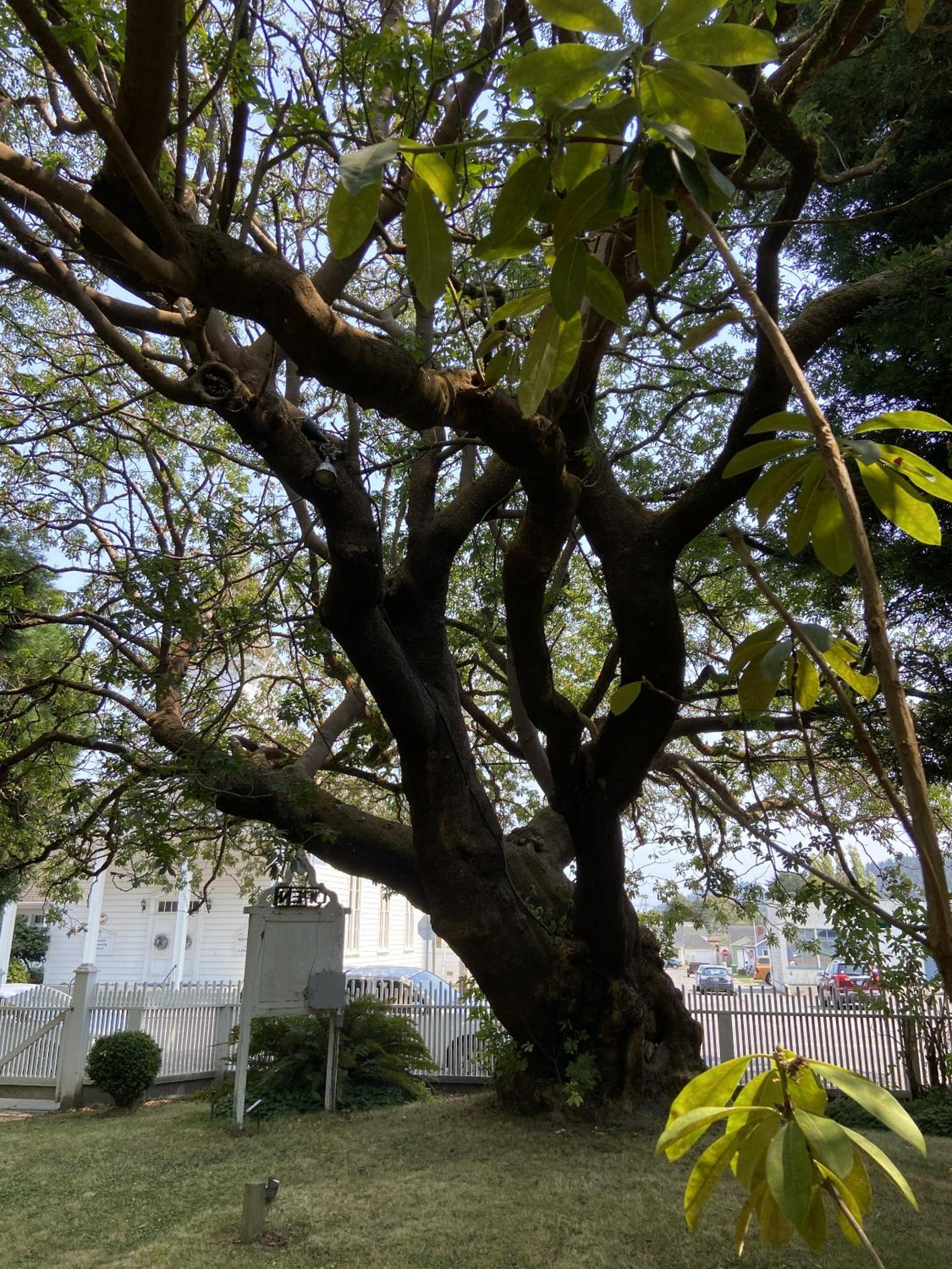 Photo 11