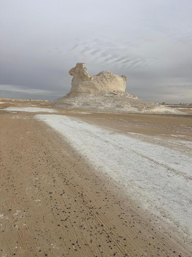 Egypt white and black desert with Camping