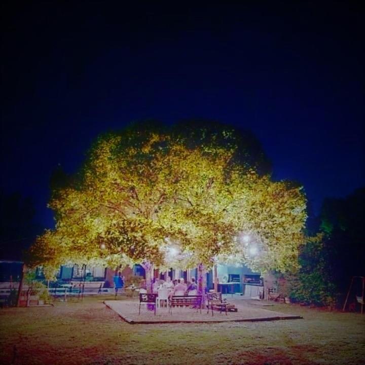 other