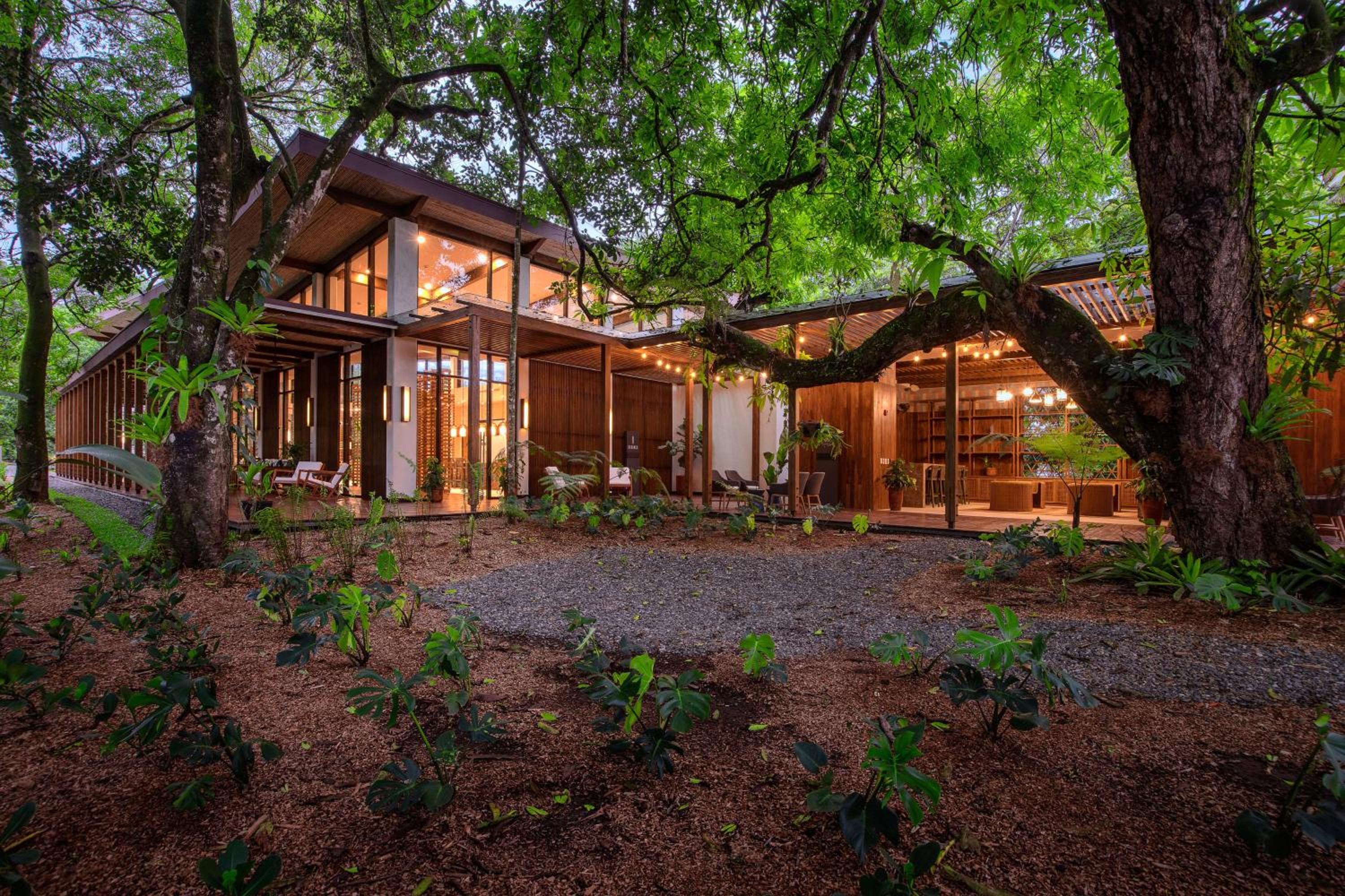 Botanika Osa Peninsula, Curio Collection By Hilton view 2