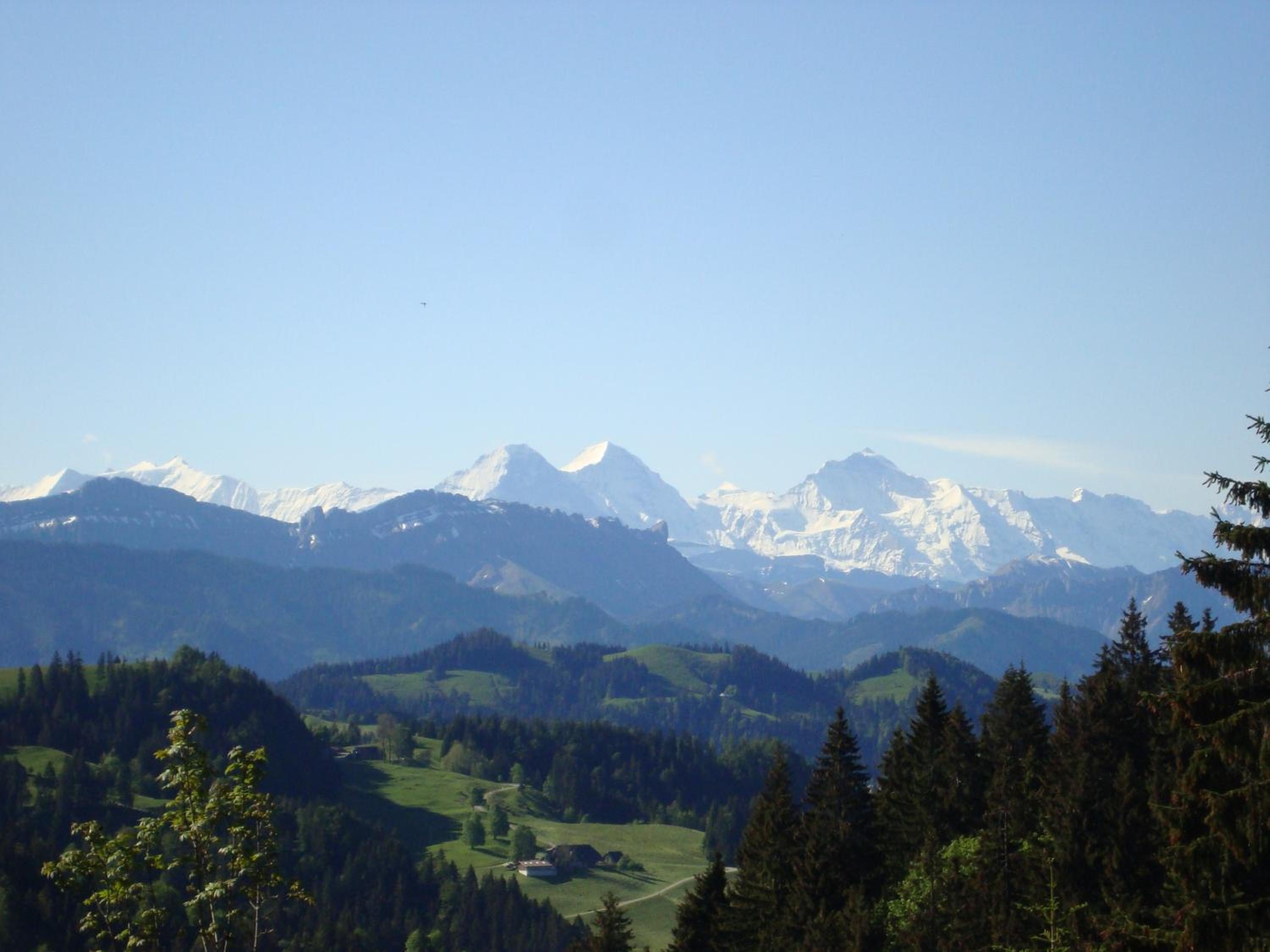 Photo 48