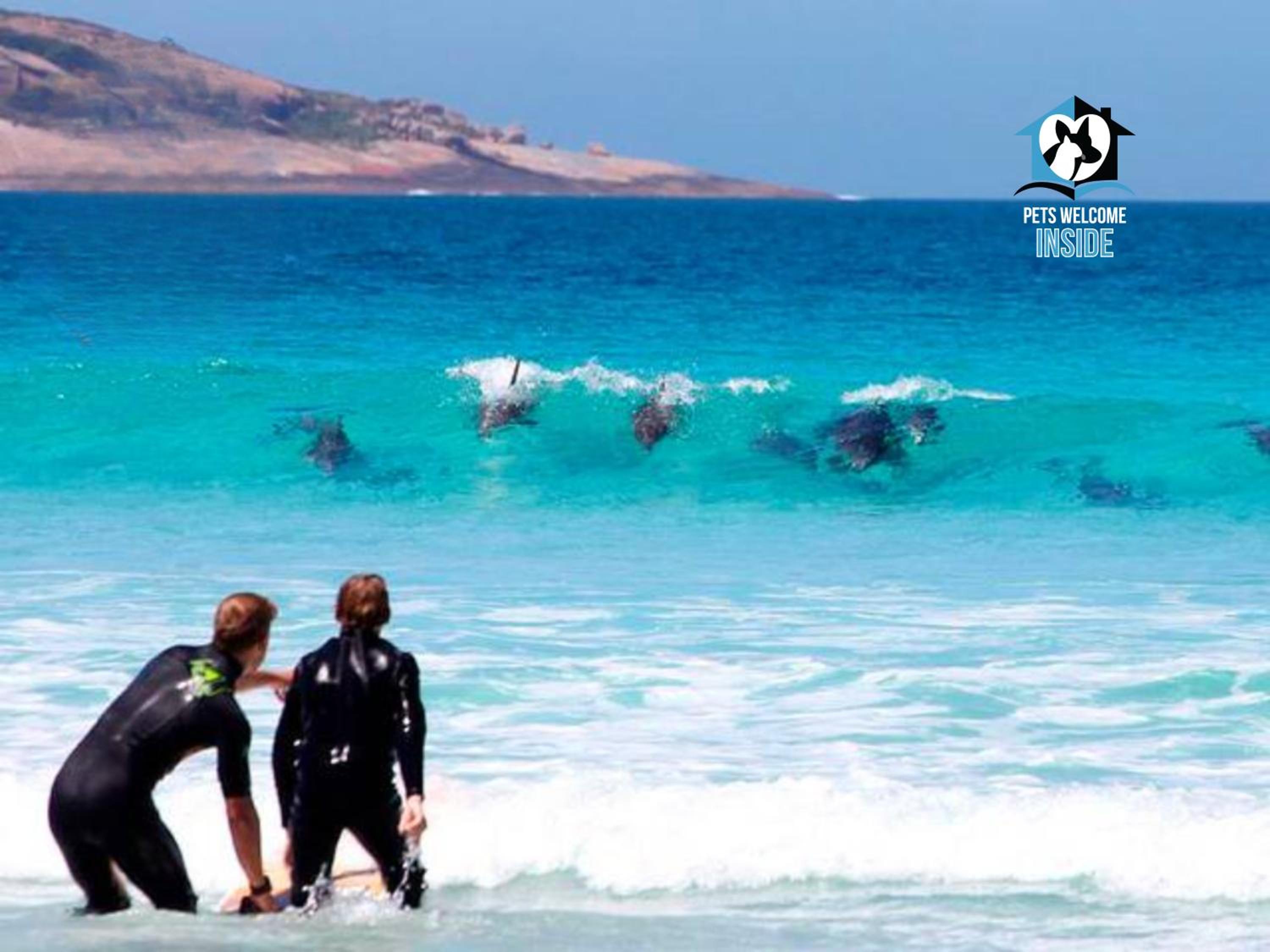 A Beautiful Property, Walking Distance to the Beach in Esperance WA!