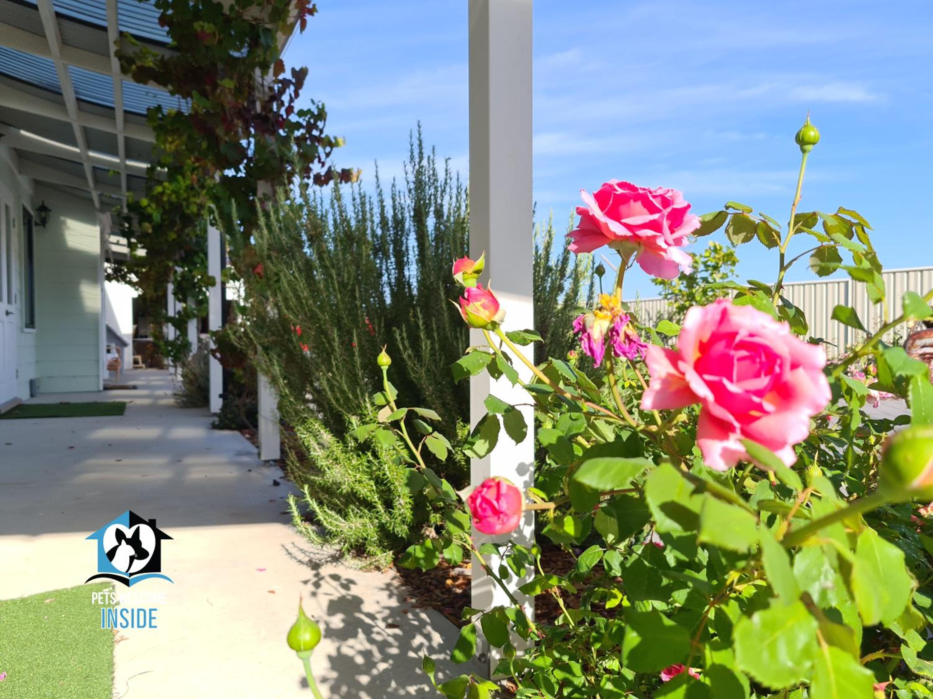 A Beautiful Property, Walking Distance to the Beach in Esperance WA!