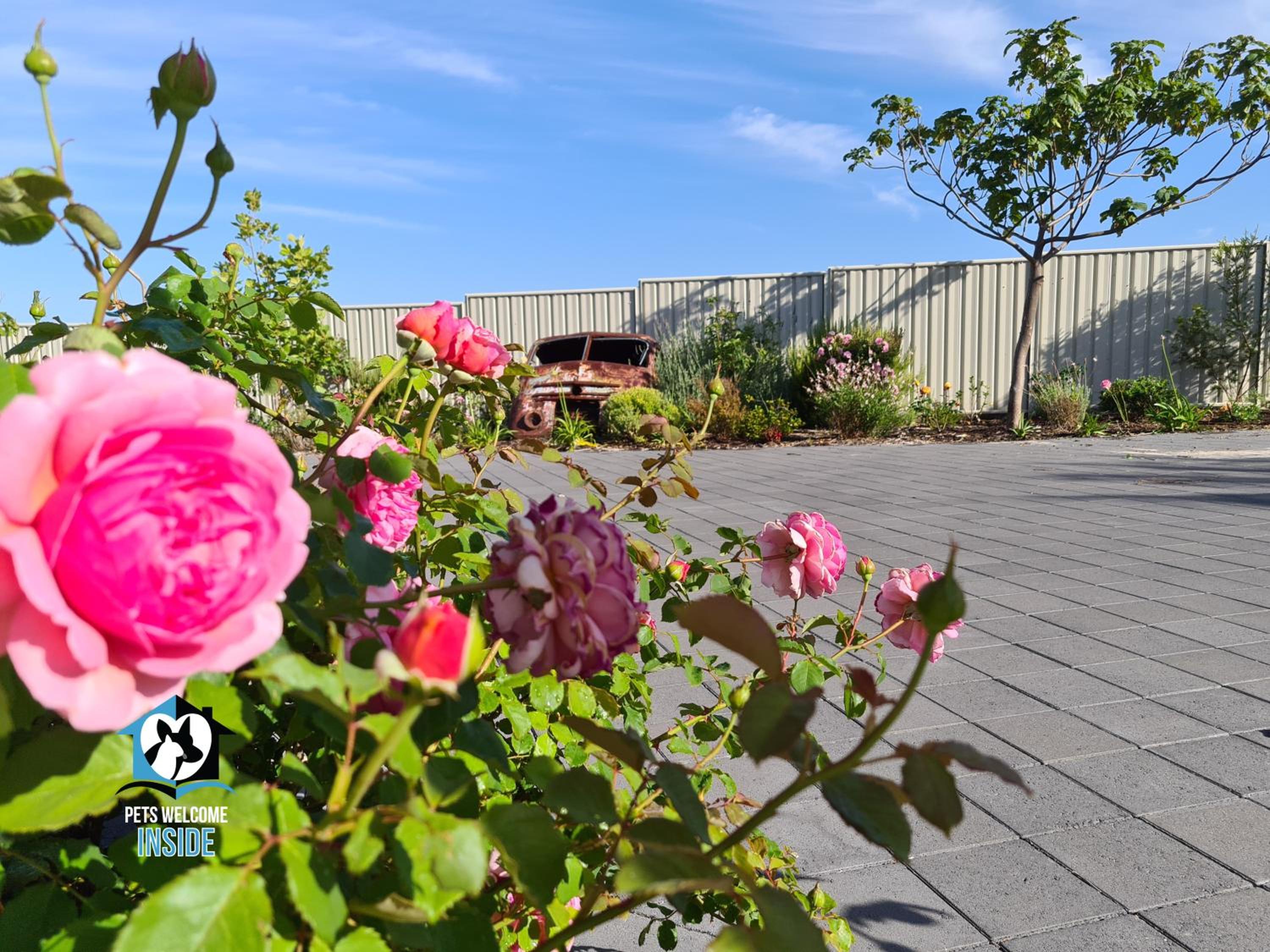 A Beautiful Property, Walking Distance to the Beach in Esperance WA!