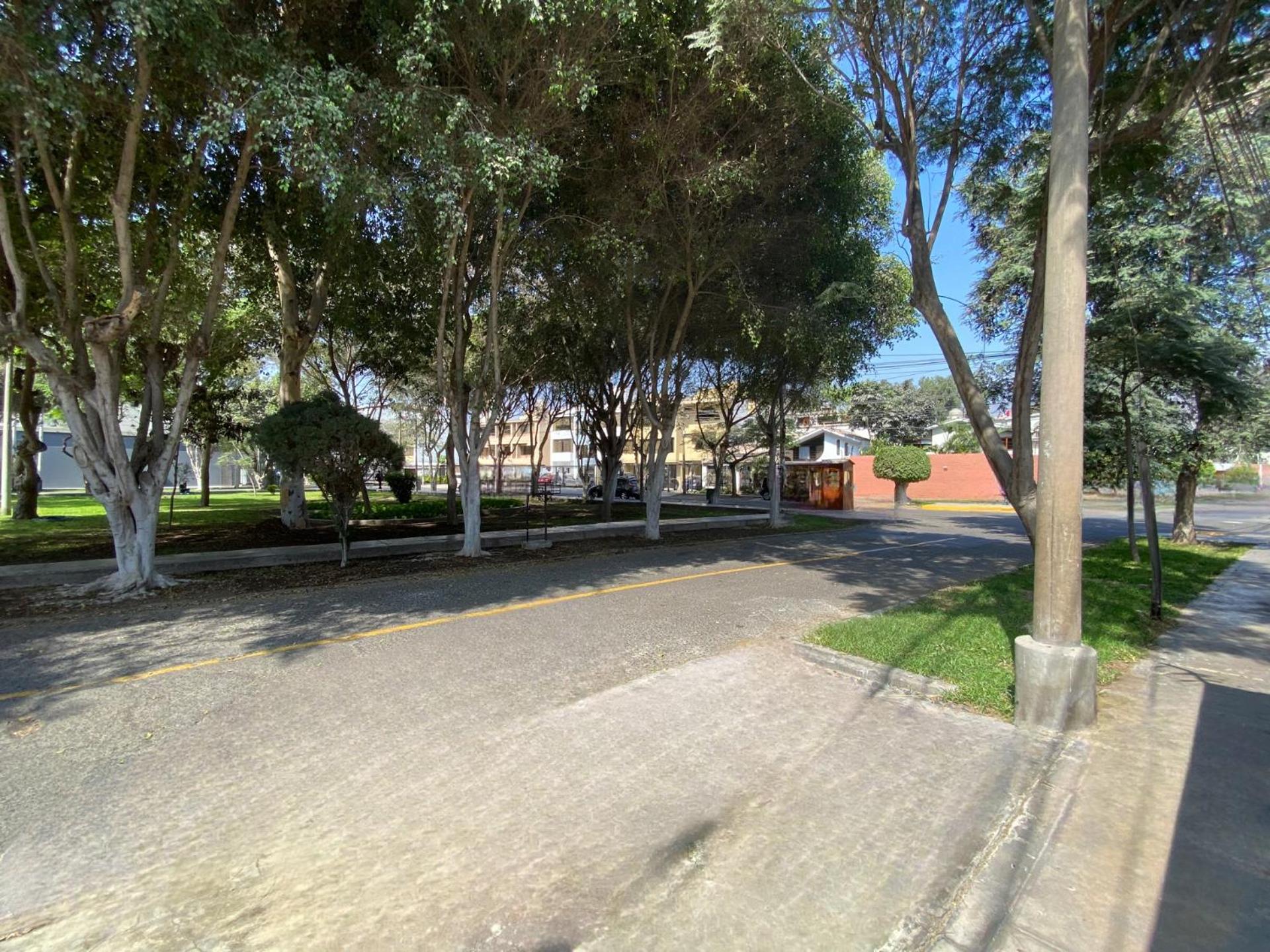 Photo 27