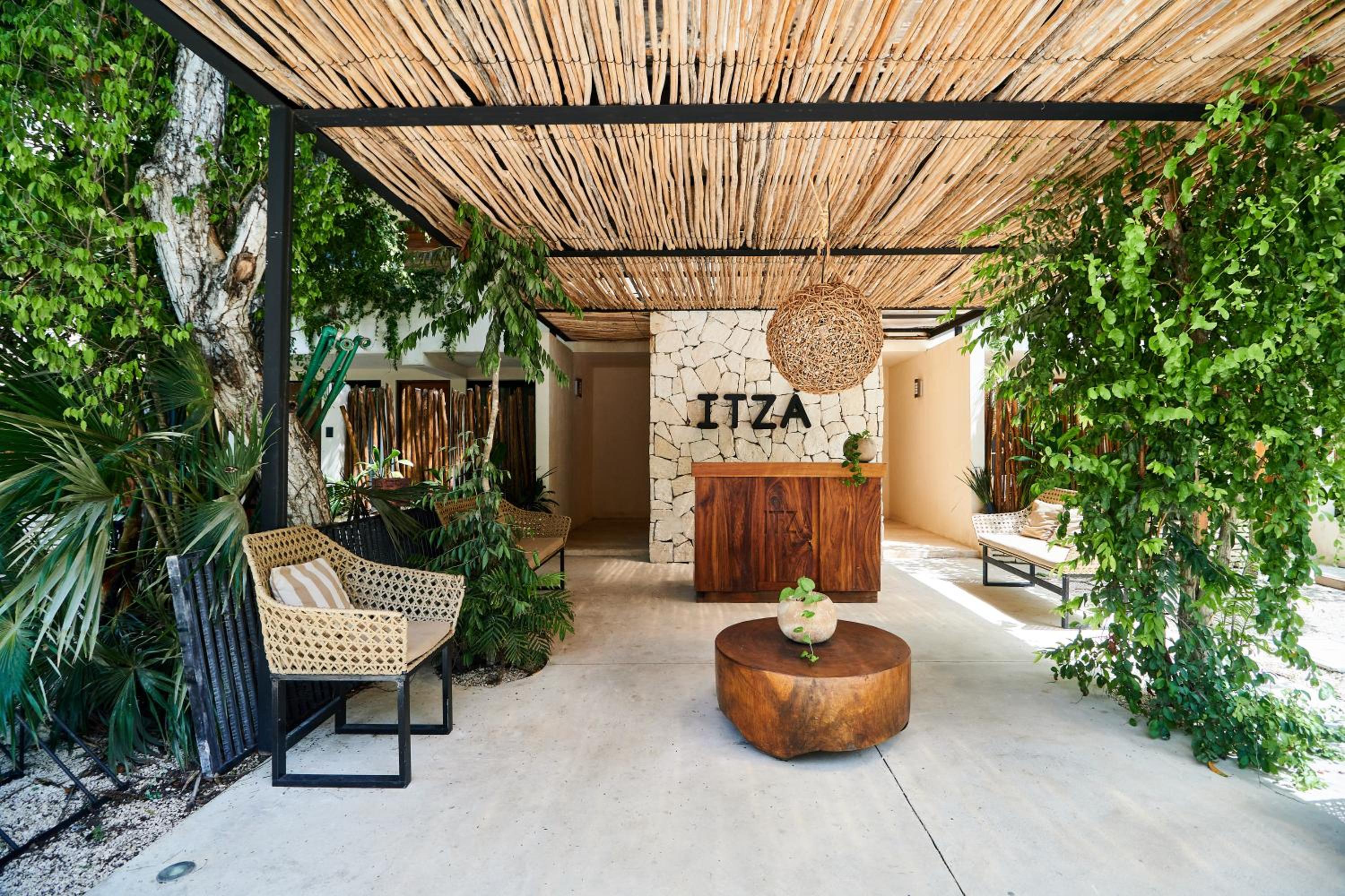 recepcion & lobby
