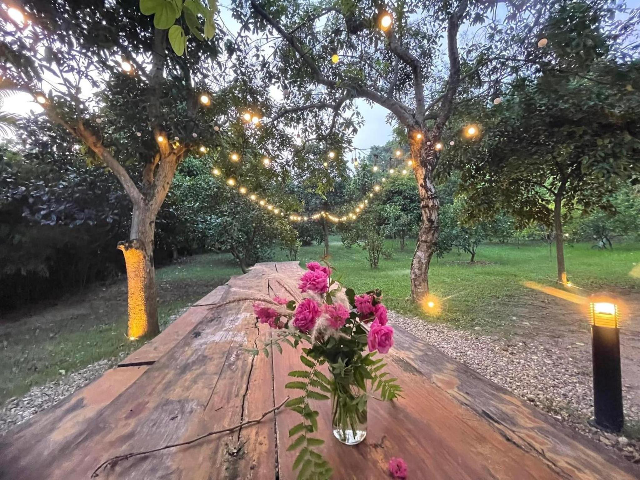 Anka Villa Venuestay