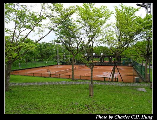 Photo 24