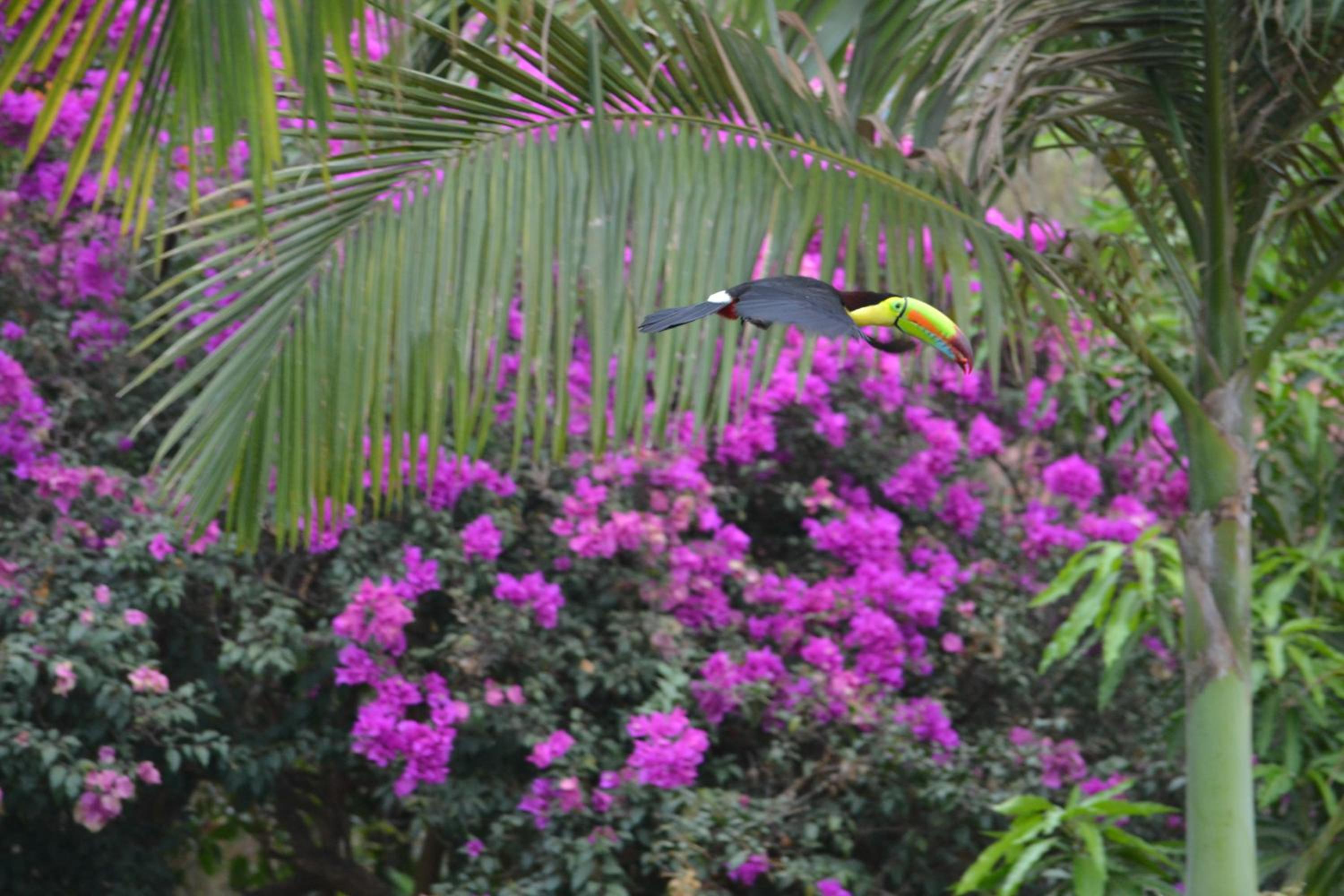 Eden Atenas Costa Rica