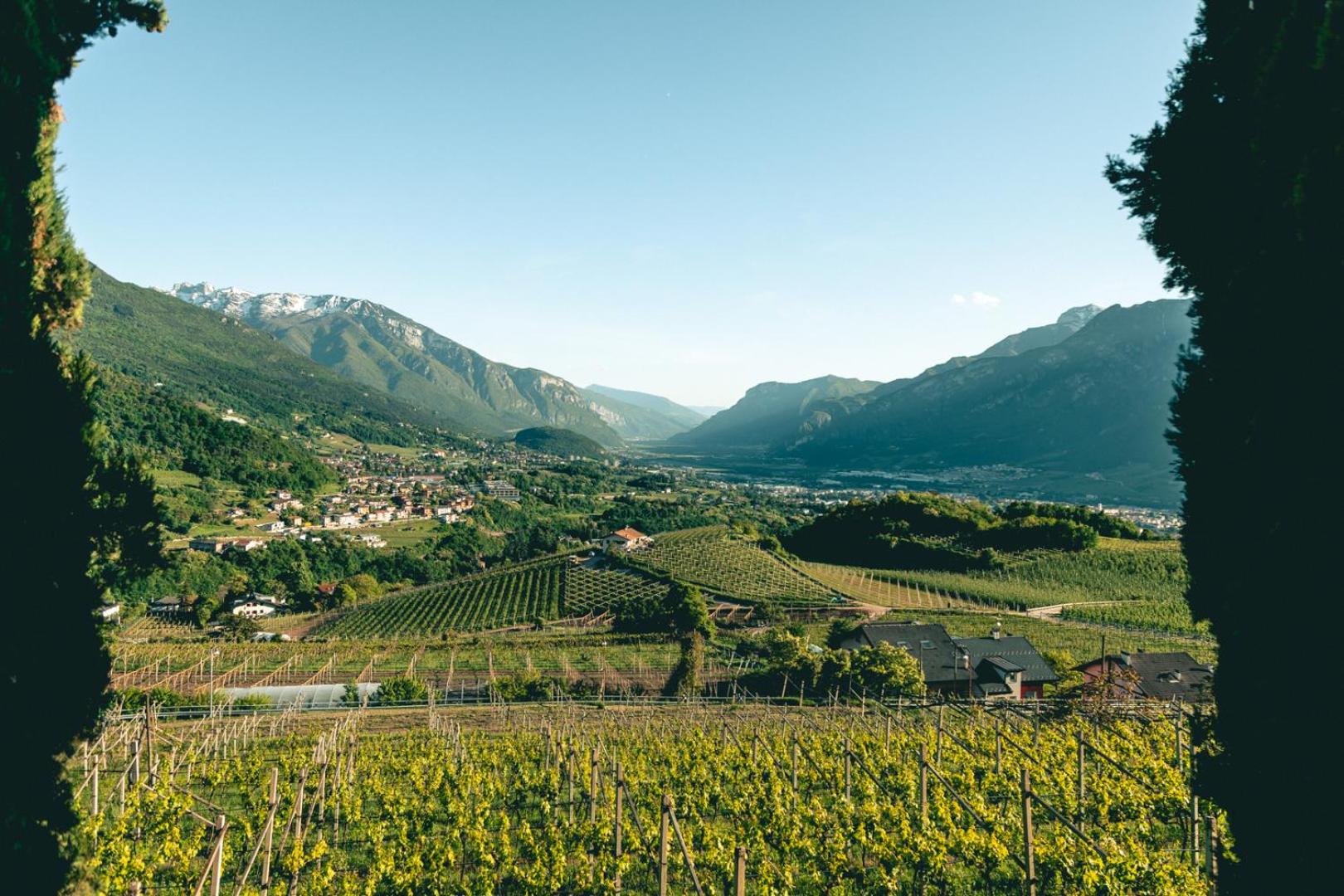 Villa Pruner view 4