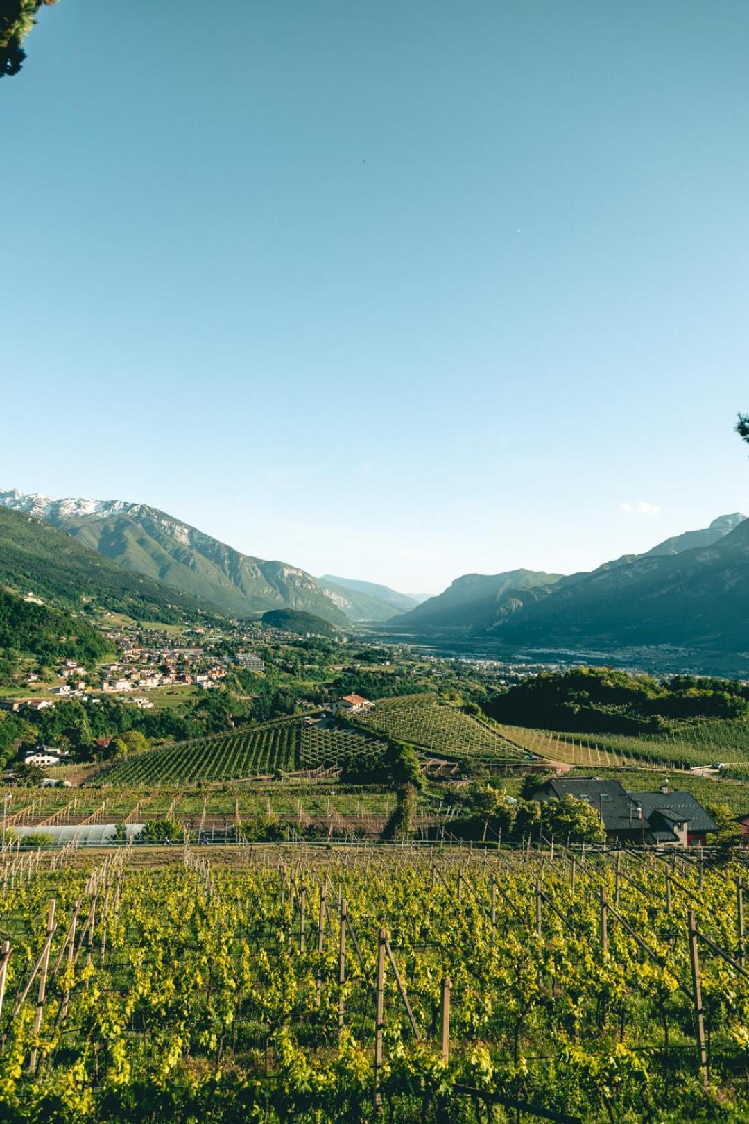 Villa Pruner view 3