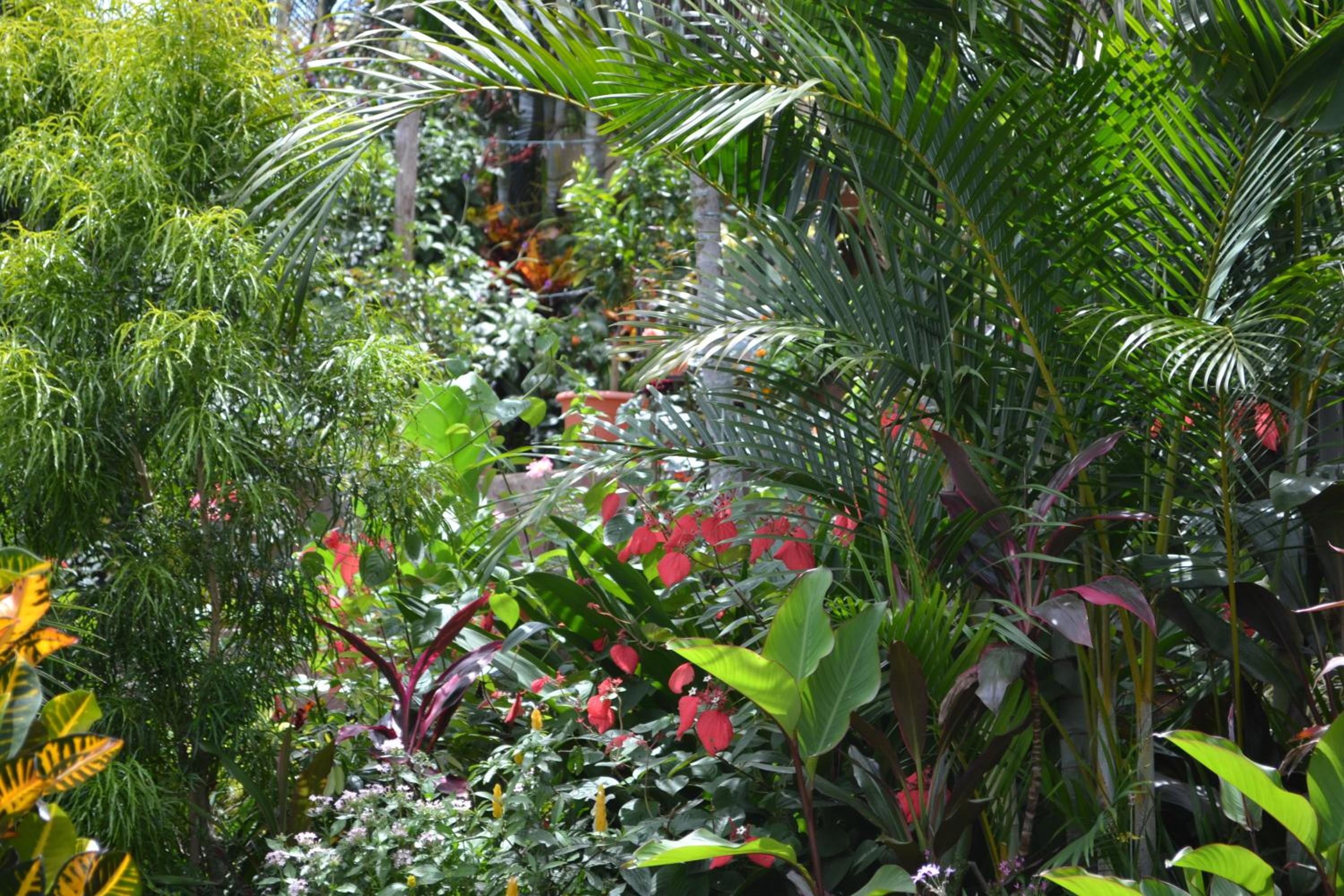 Eden Atenas Costa Rica
