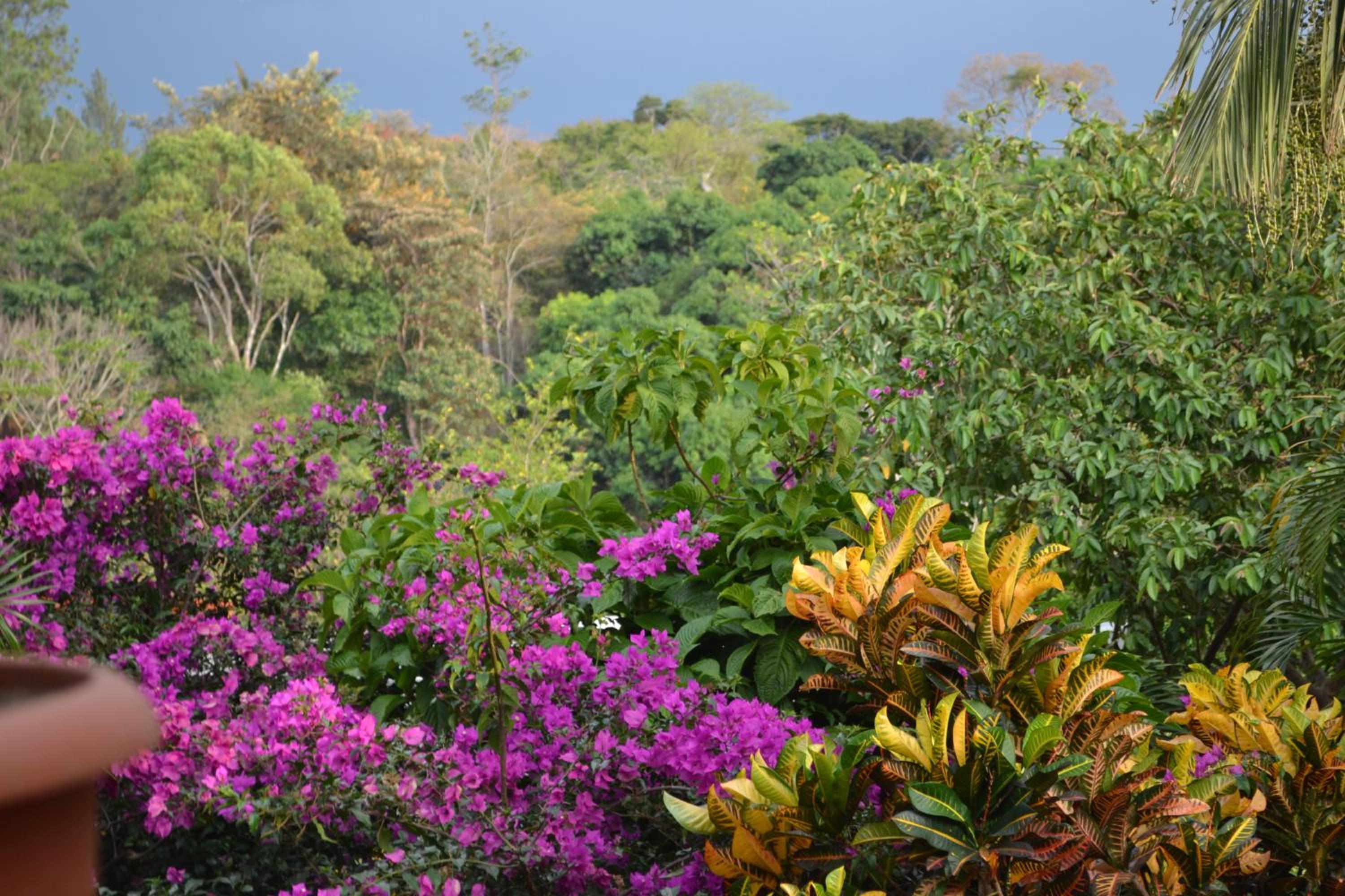 Eden Atenas Costa Rica