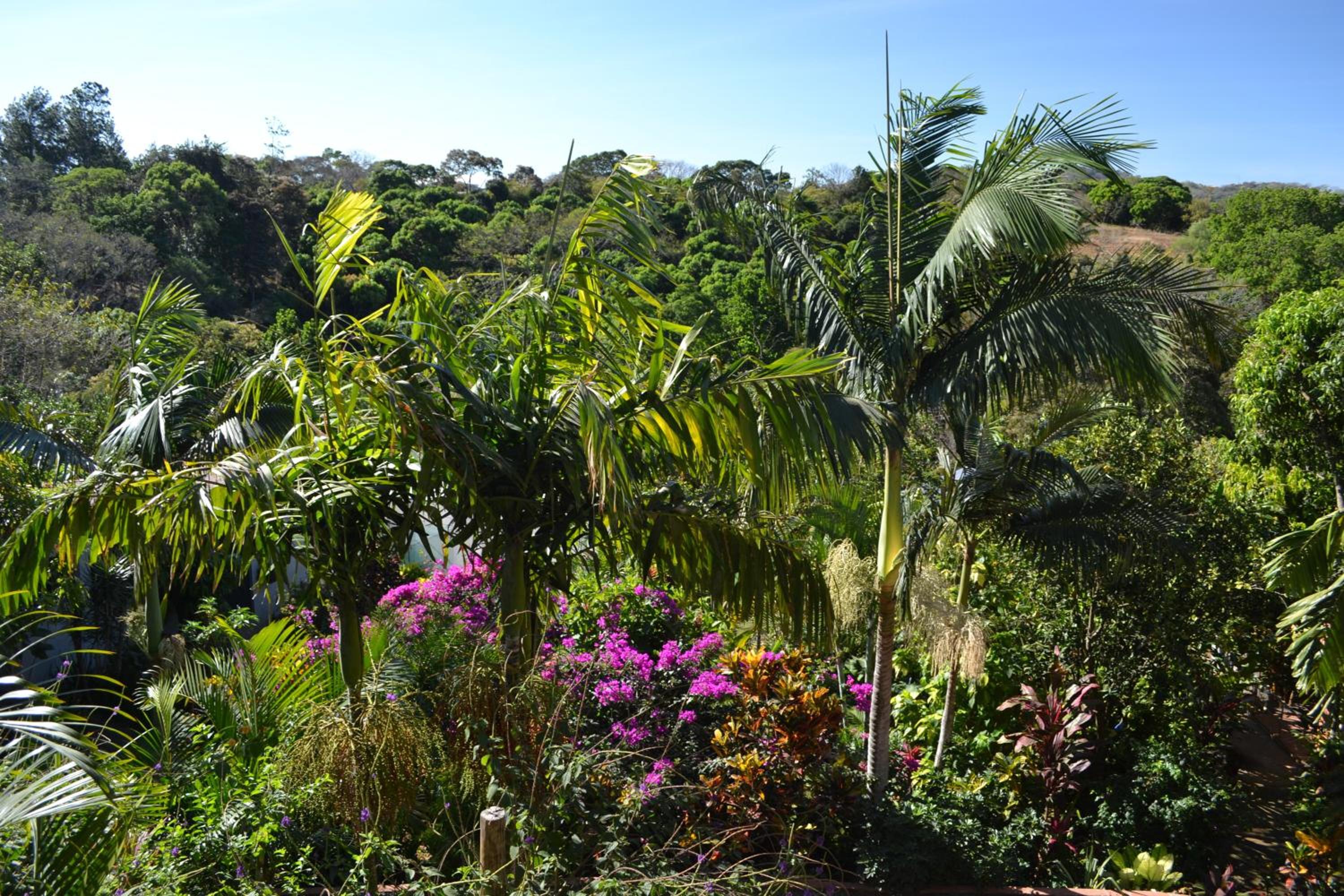 Eden Atenas Costa Rica