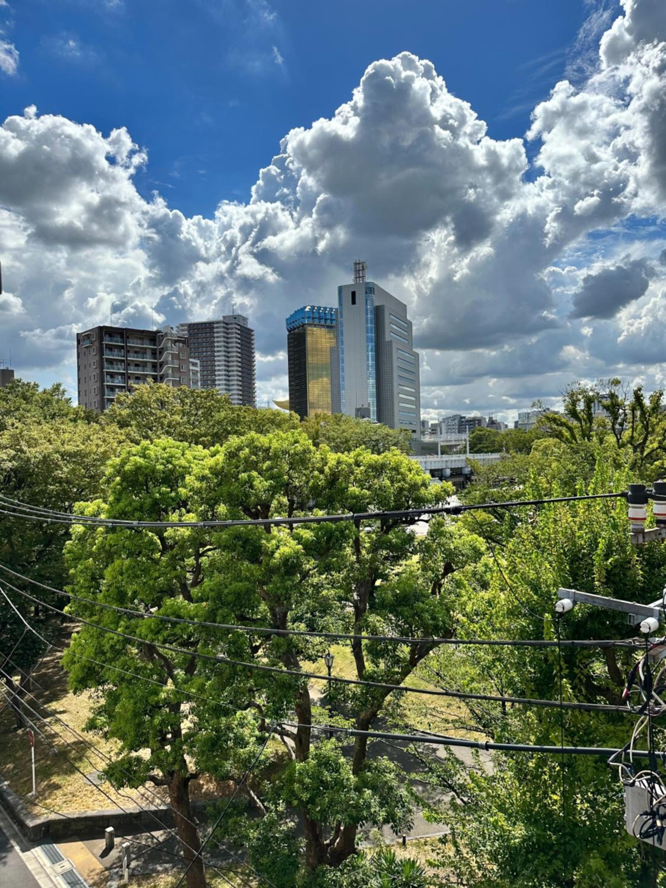 Wise Park Mukojima