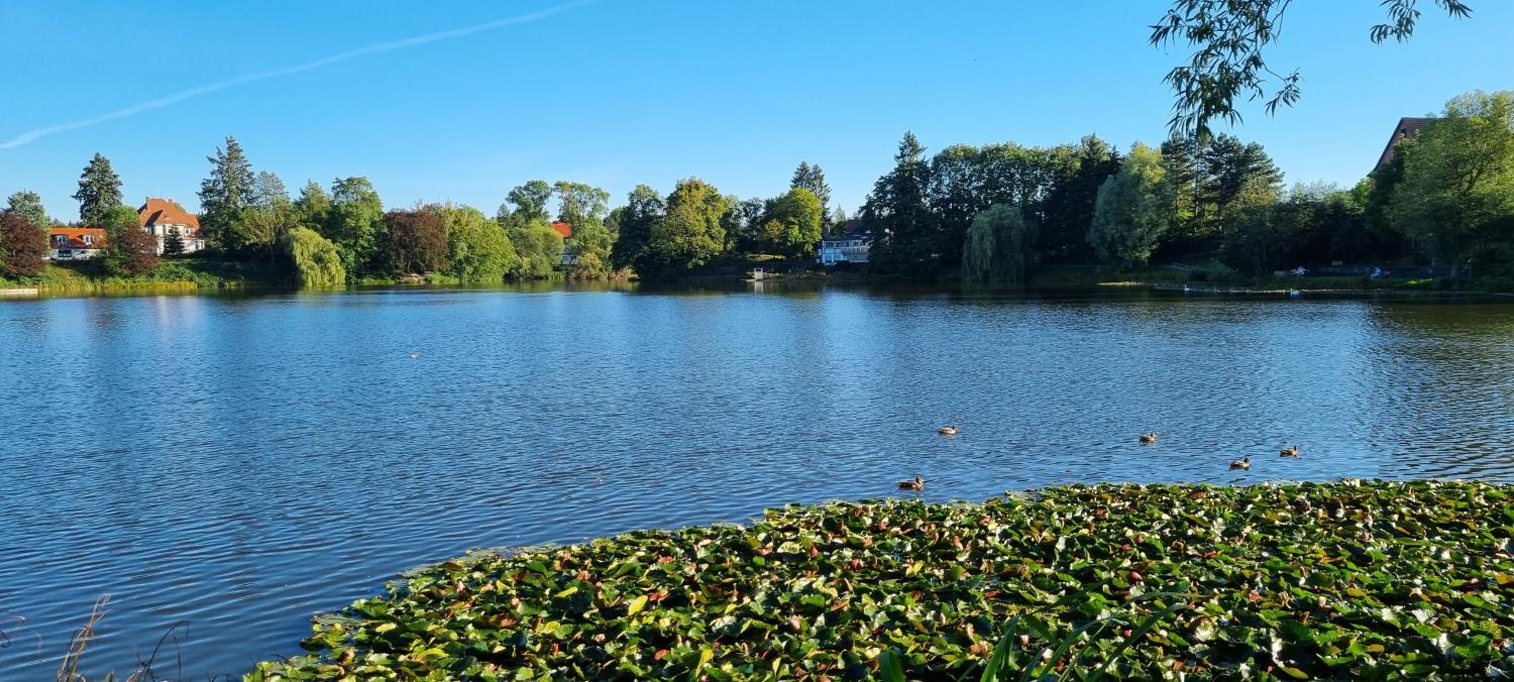 FeWo zur alten Tischlerei