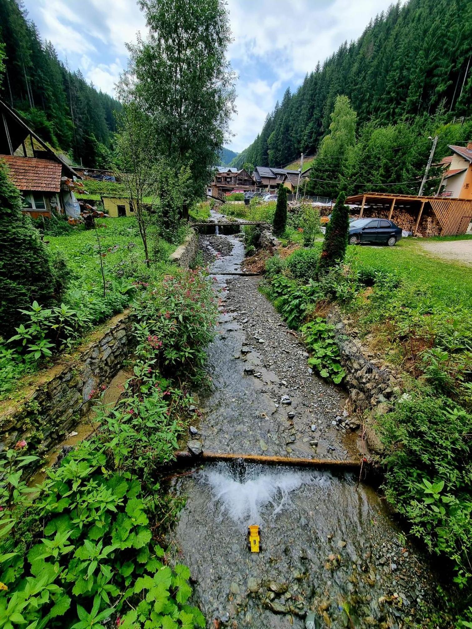 Căbănuța Cocoțată view 5