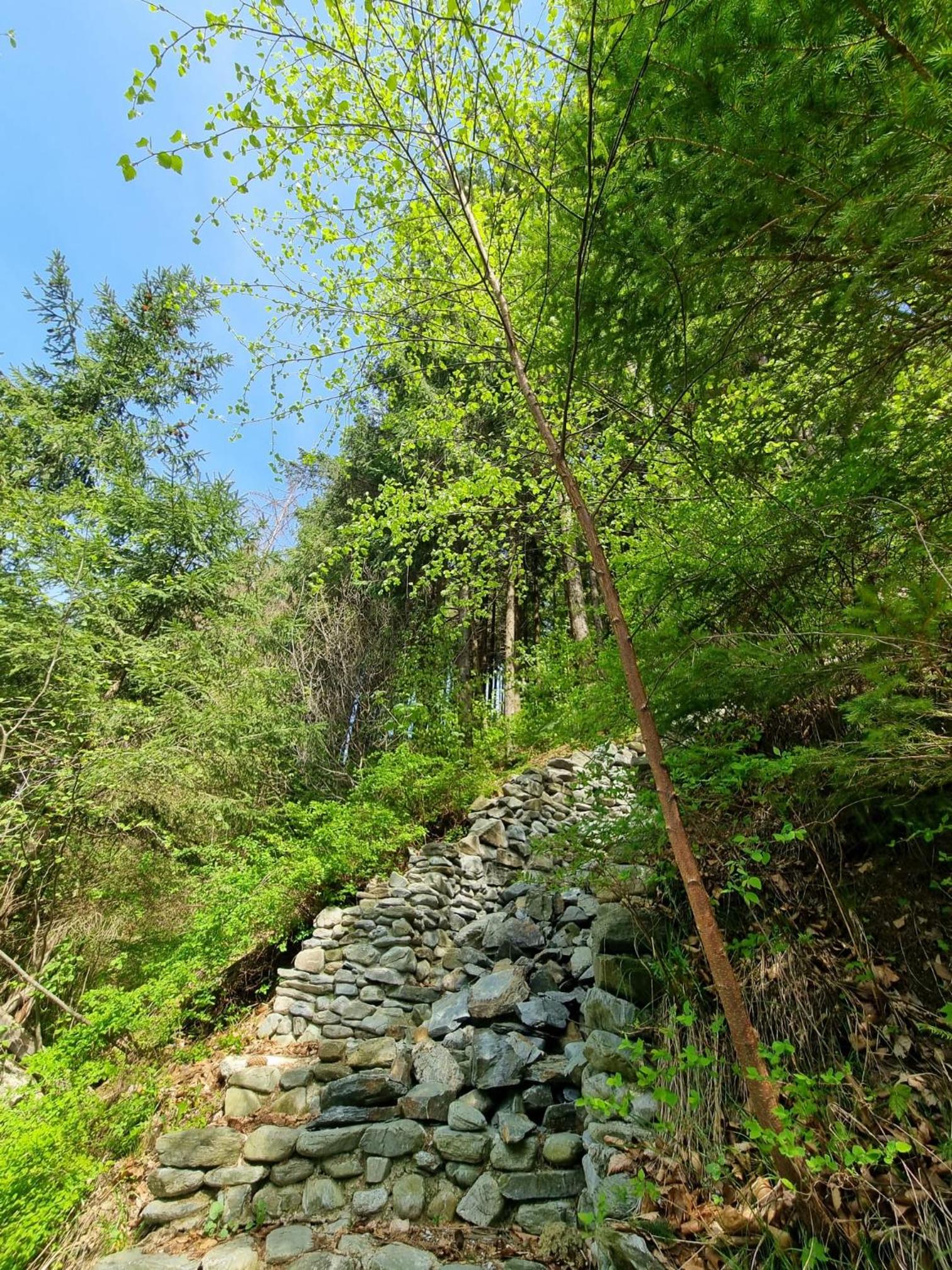 Căbănuța Cocoțată view 4
